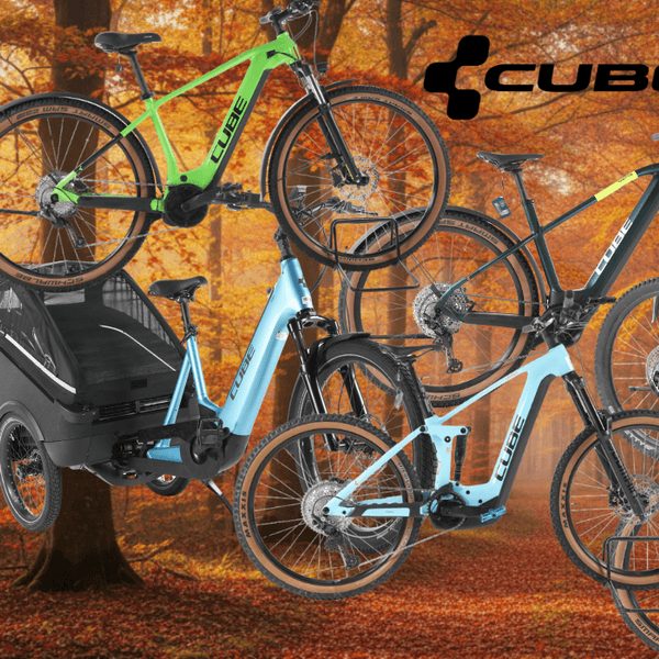 Cube E-Bike-Modelle vor einem Hintergrund einer Landstraße im Grünen vor einer Stadtsilhouette am sonnigen Tag.
