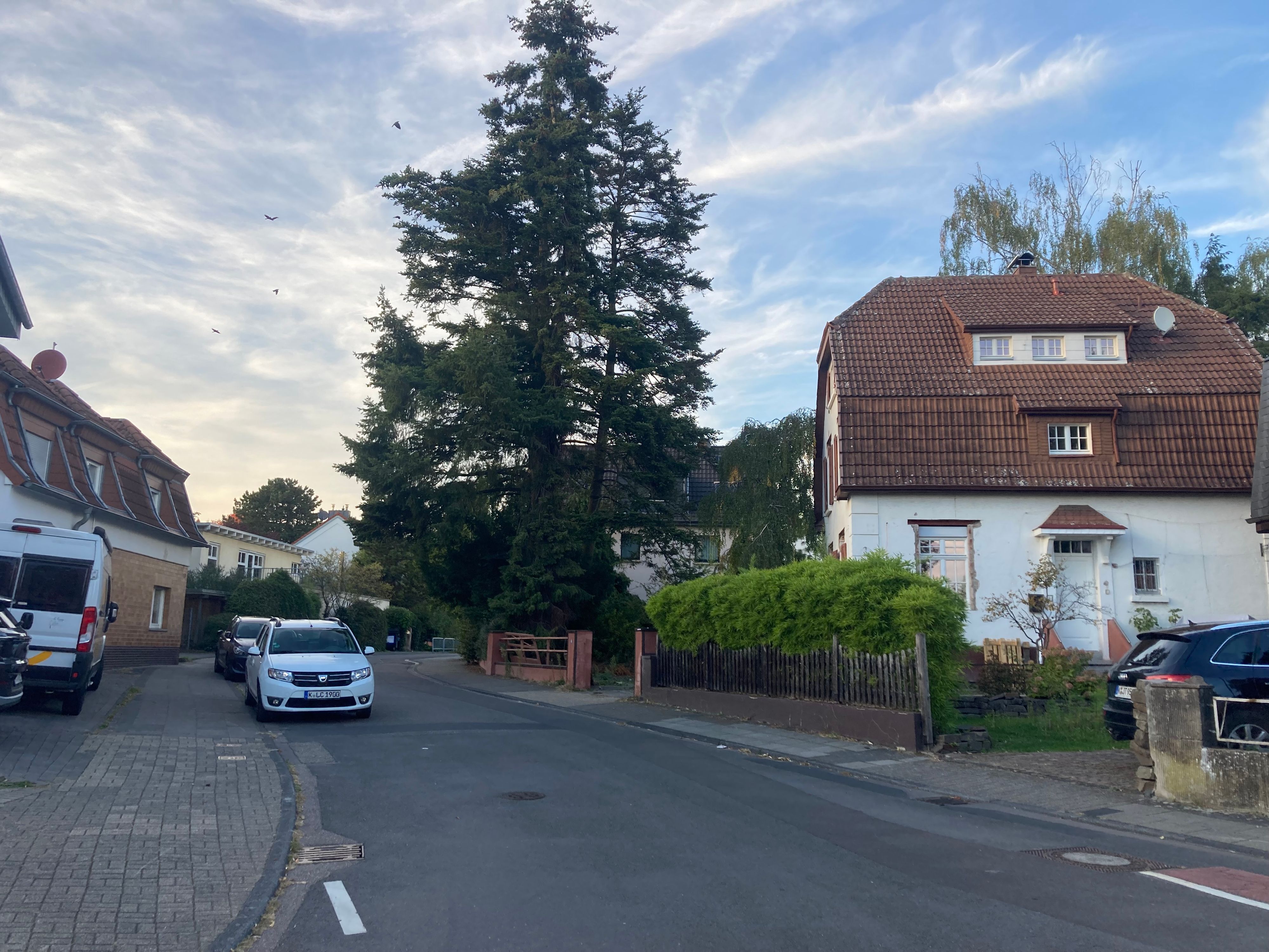 Zu sehen sind alte Häuser an der Elsdorfer Straße in Porz-Urbach.