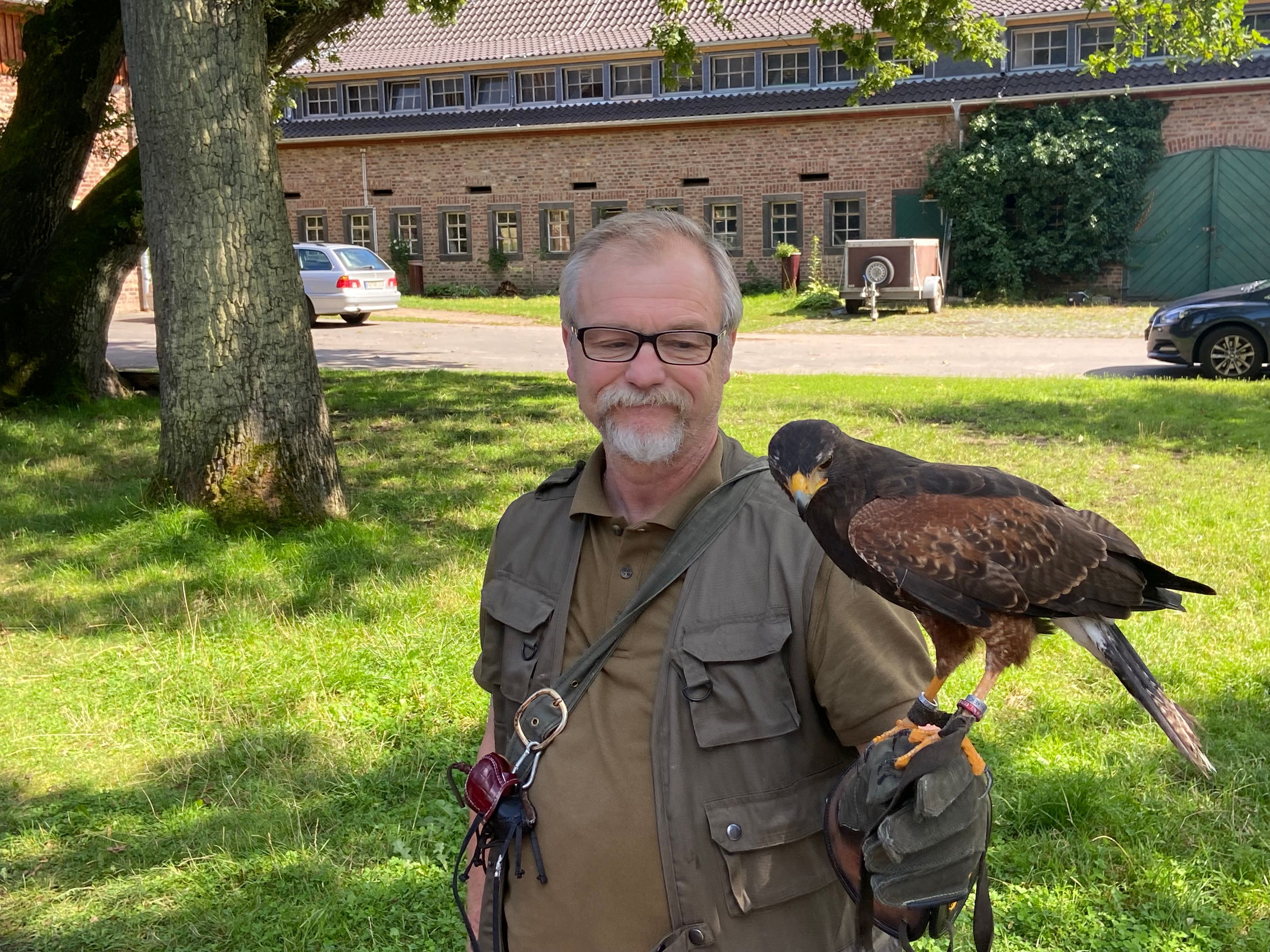 Auf der behandschuhten Hand eines Mannes steht ein Greifvogel.