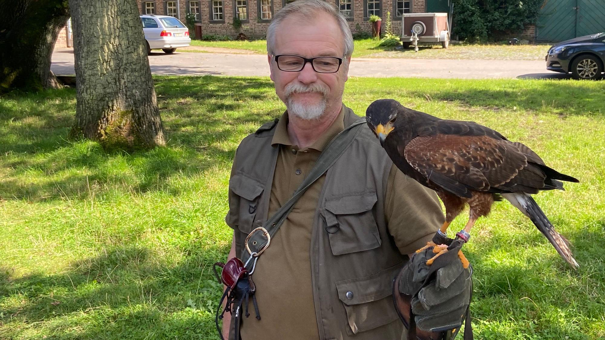 Auf der behandschuhten Hand eines Mannes steht ein Greifvogel.