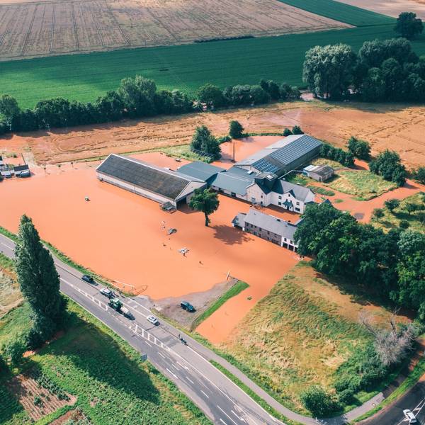 Die Luftaufnahme zeigt die Gebäude der Probstmühle, umgeben von einem See aus schlammigem Wasser.