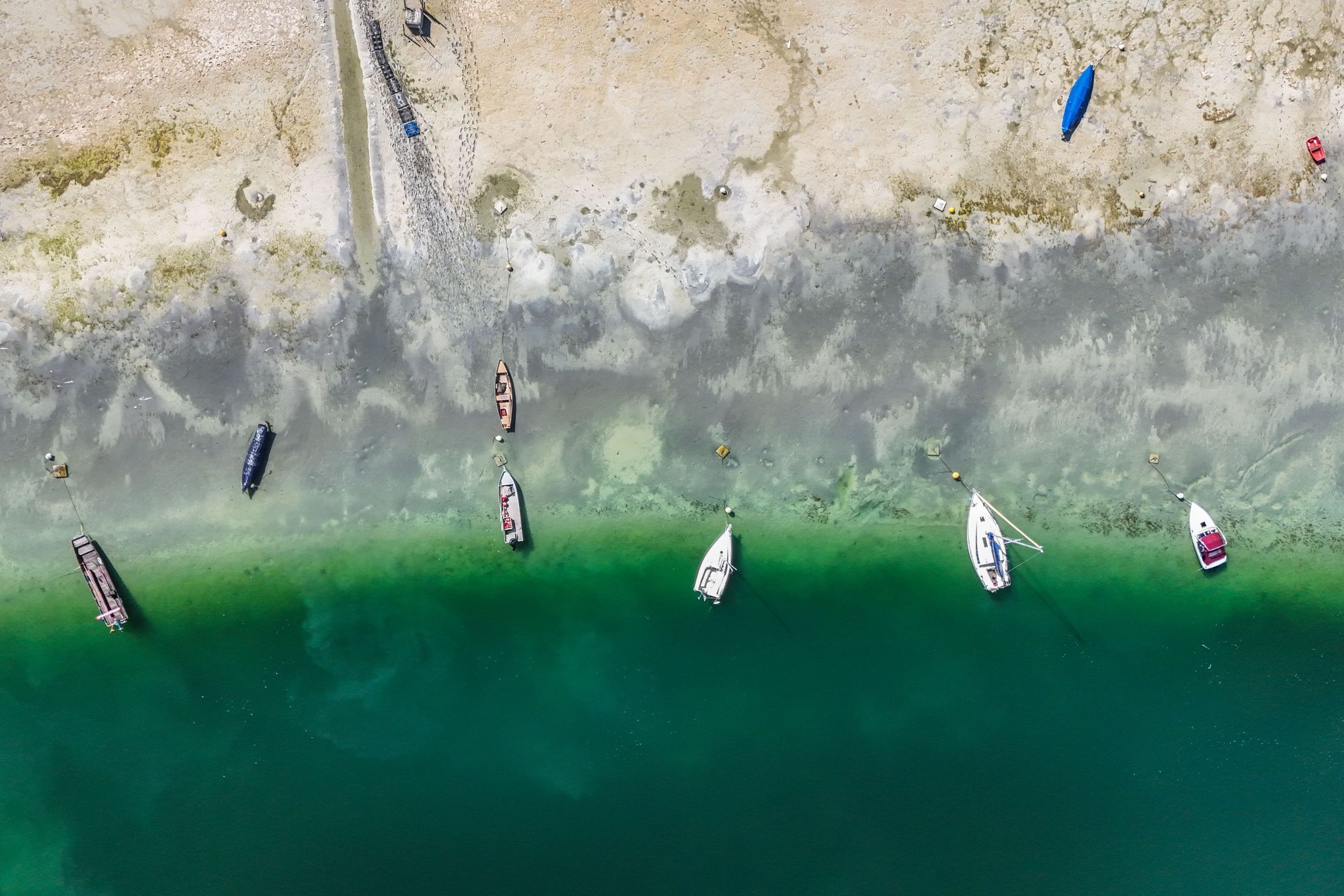 Spätsommer am Bodensee - Trockenheit