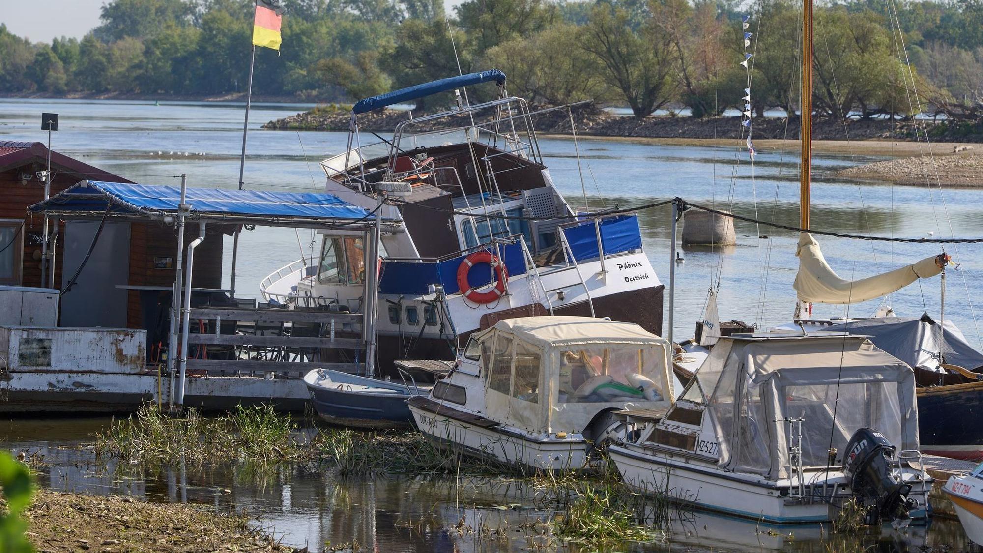 Niedrigwasser im Rhein