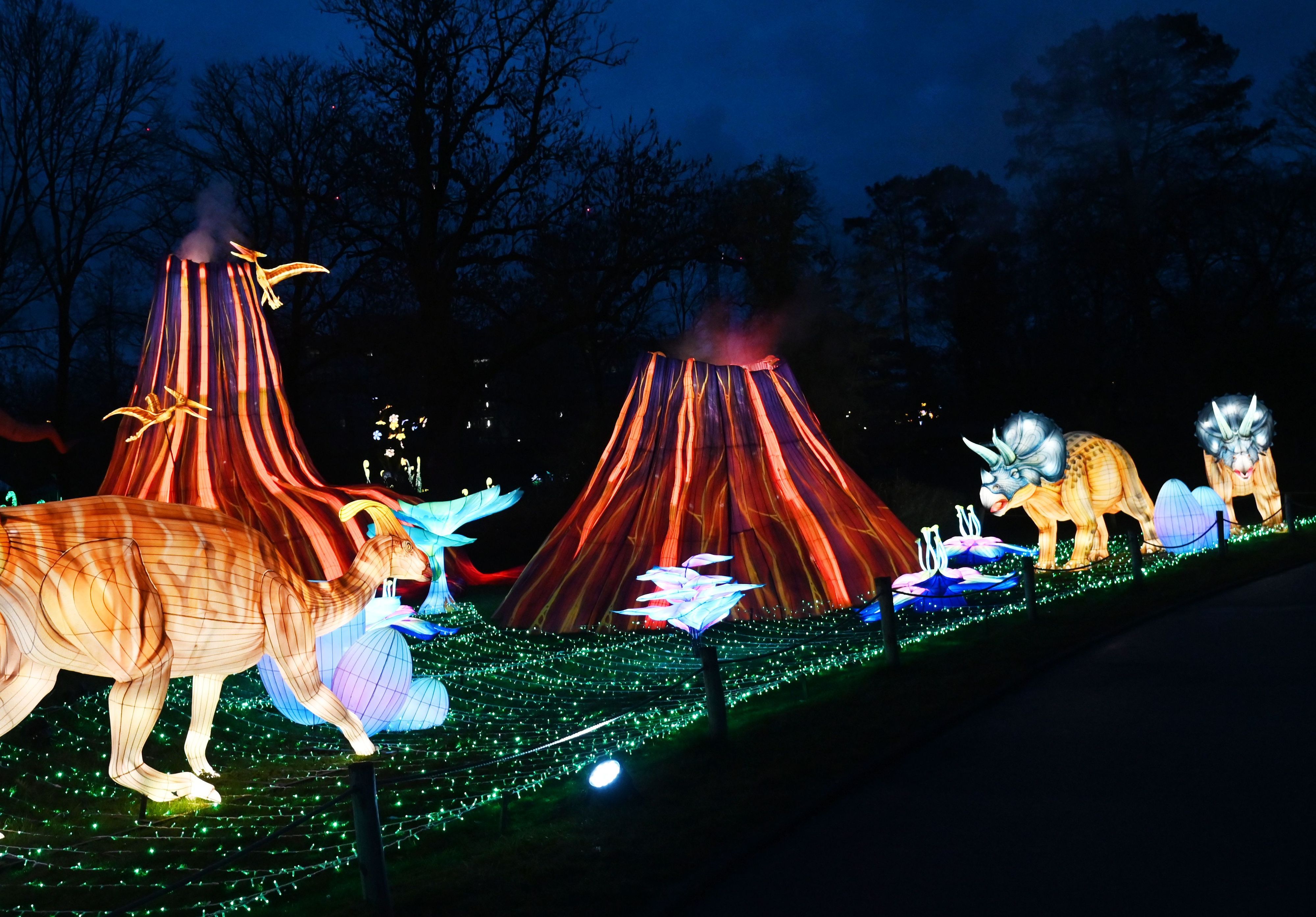 Leuchtende Dinos im Zoo in Köln. (Archivbild 2025)