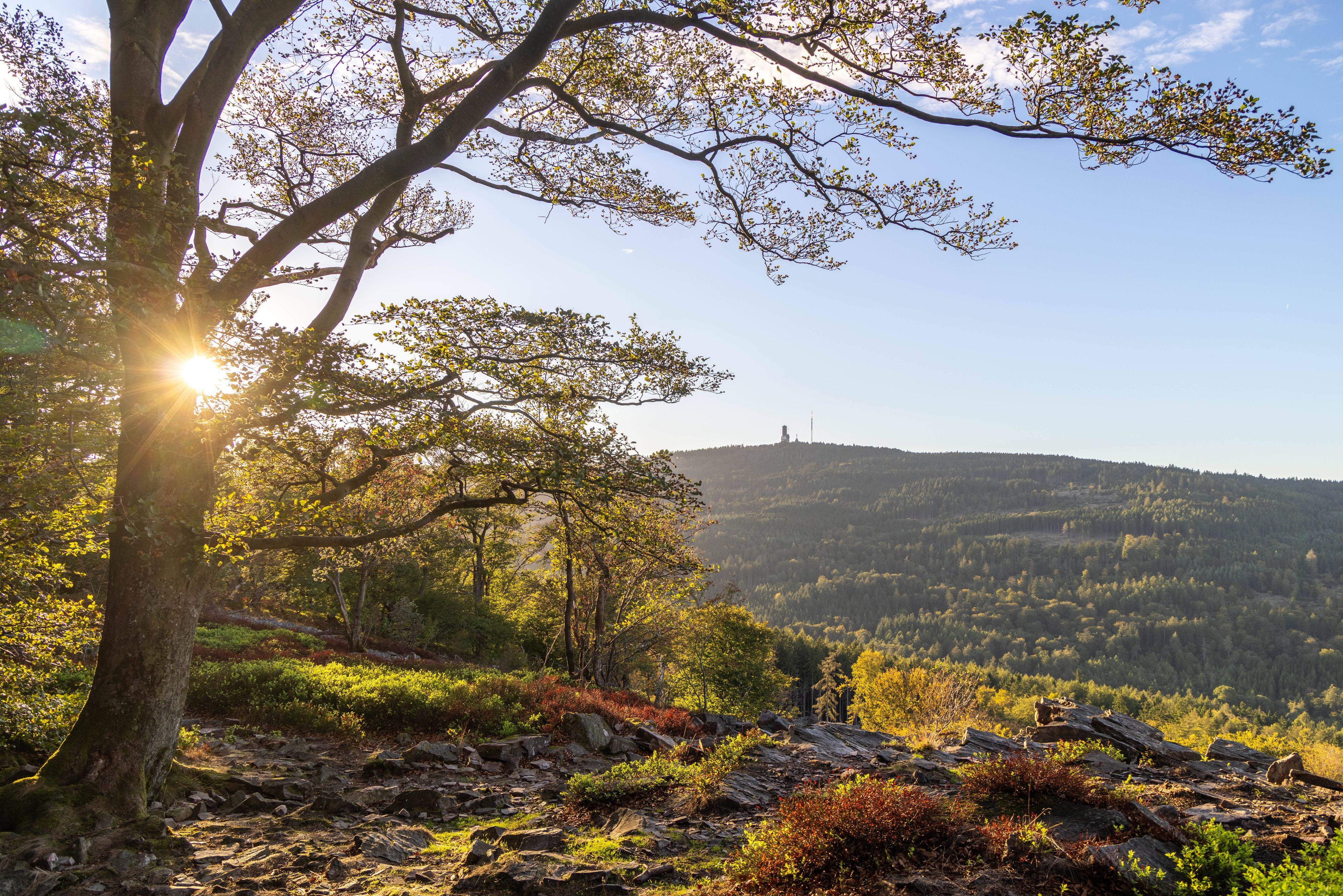 Die Sonne scheint an der Weißen Mauer im Taunus mit Blick zum Großen Feldberg.