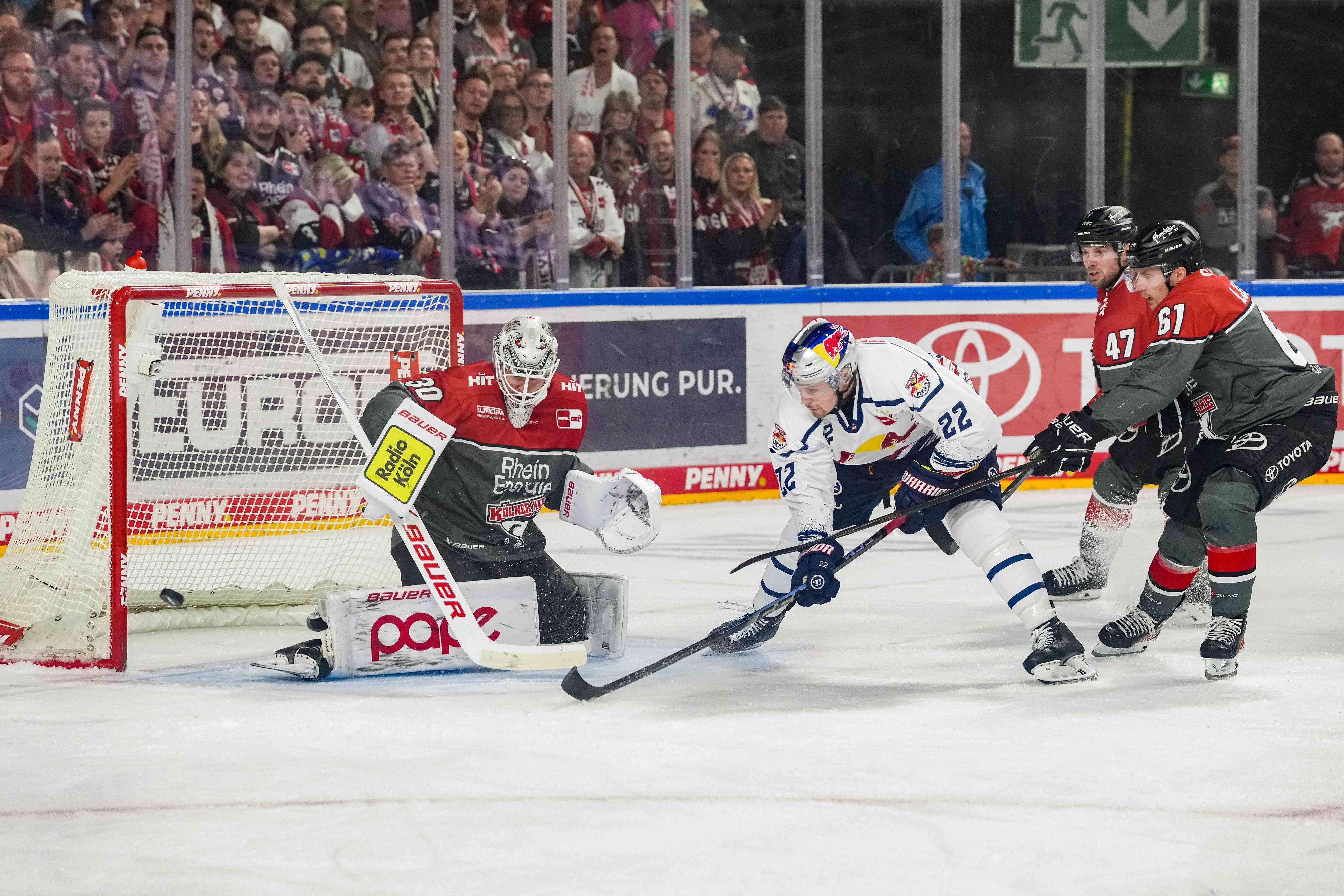 Spielszene im DEL-Duell Kölner Haie - Red Bull München.