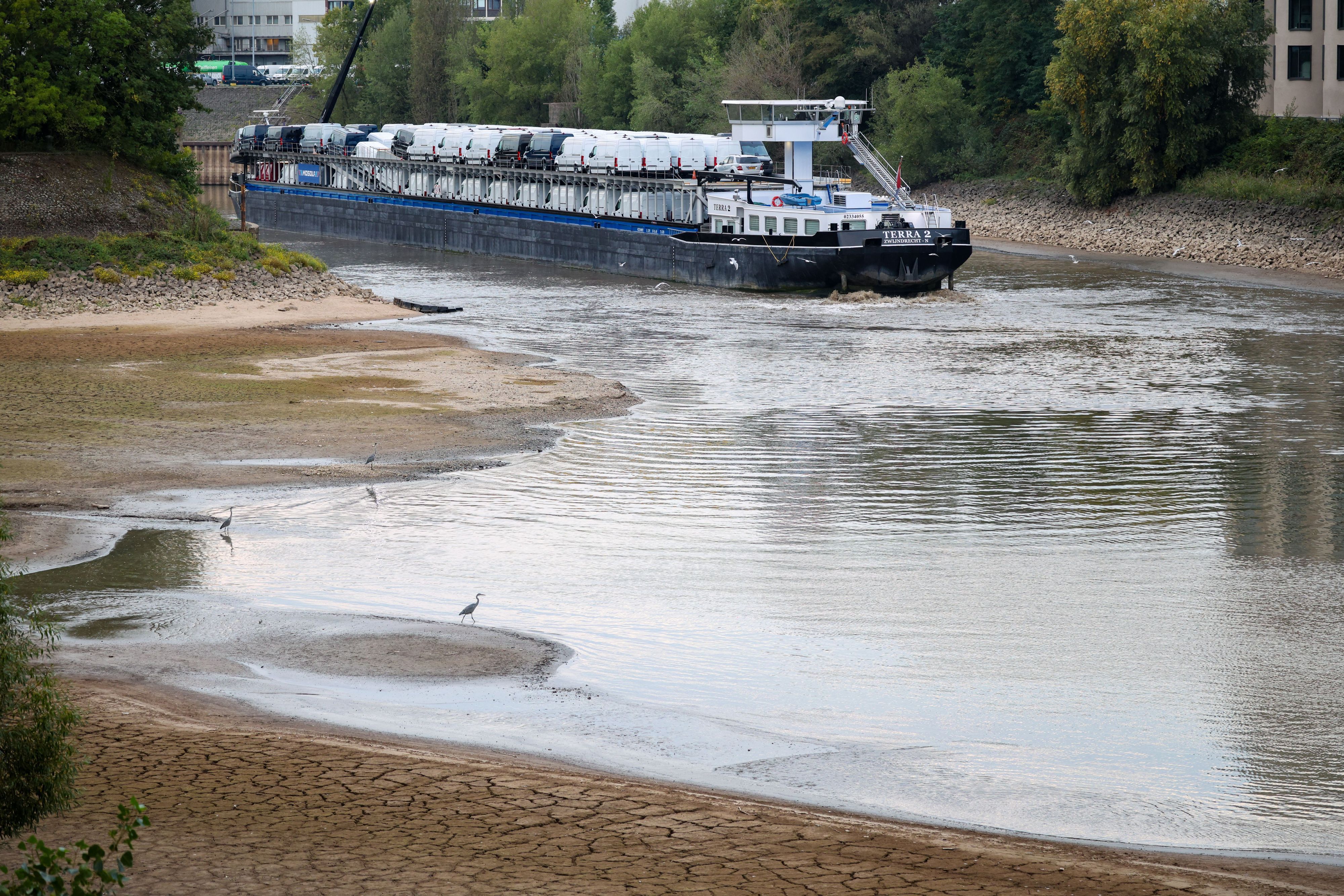 Ein Frachtschiff aus den Niederlanden, beladen mit Kleintransportern, fährt sich bei Niedrigwasser des Rheins im Düsseldorfer Hafen fest. (Archivbild)