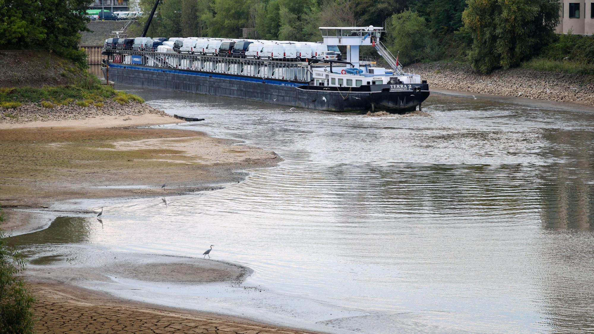 Ein Frachtschiff aus den Niederlanden, beladen mit Kleintransportern, fährt sich bei Niedrigwasser des Rheins im Düsseldorfer Hafen fest. (Archivbild)