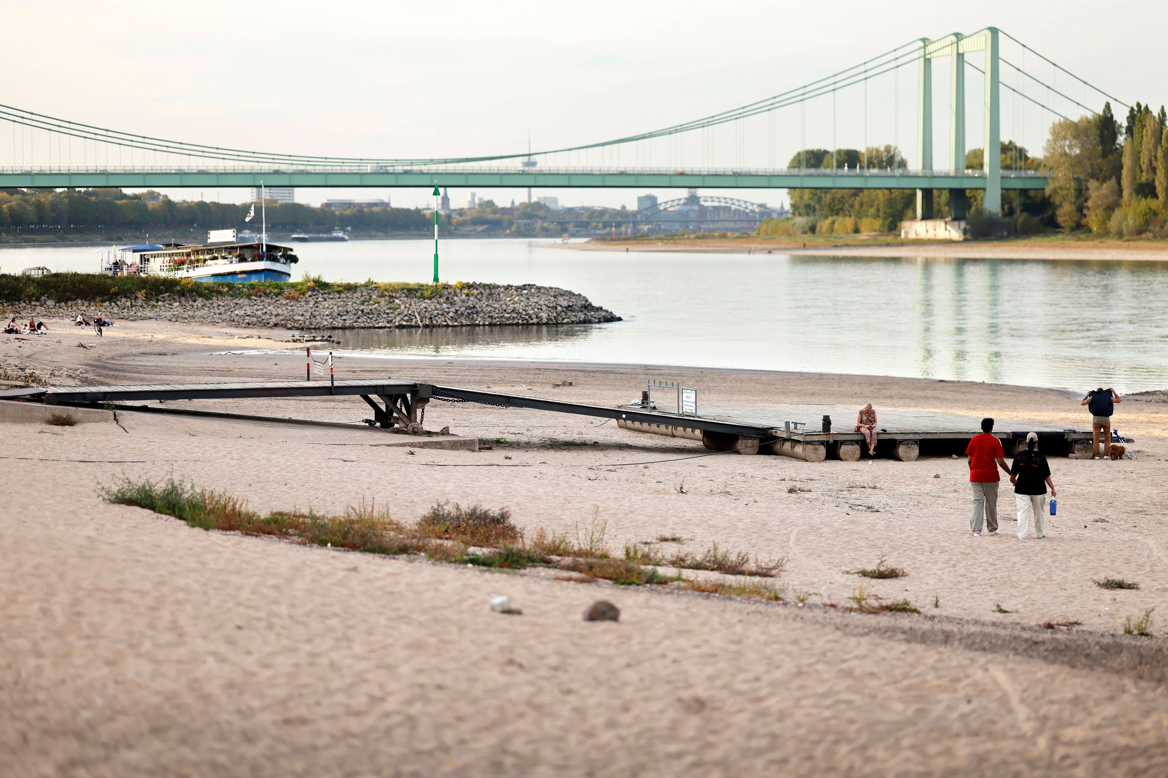 Niedrigwasser bei Rodenkirchen: Der Rheinpegel in Köln ist auf einen neuen historischen Tiefstwert gefallen.