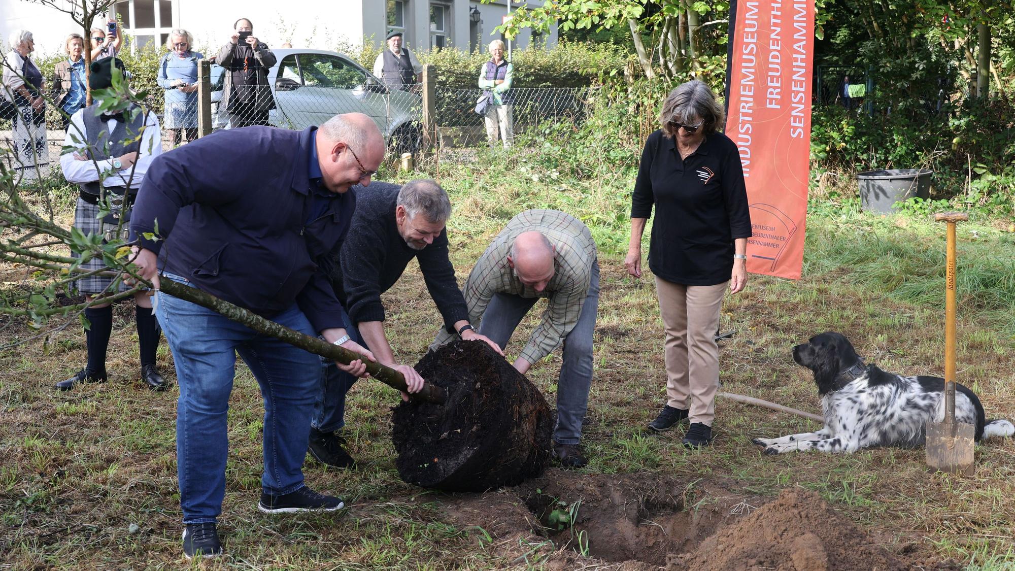 OB Stefan Hebbel, Museumsleiter Jürgen Bandsom, Jens Schäperclaus und Dagmar Faust pflanzen einen Apfelbaum am Sensenhammer.