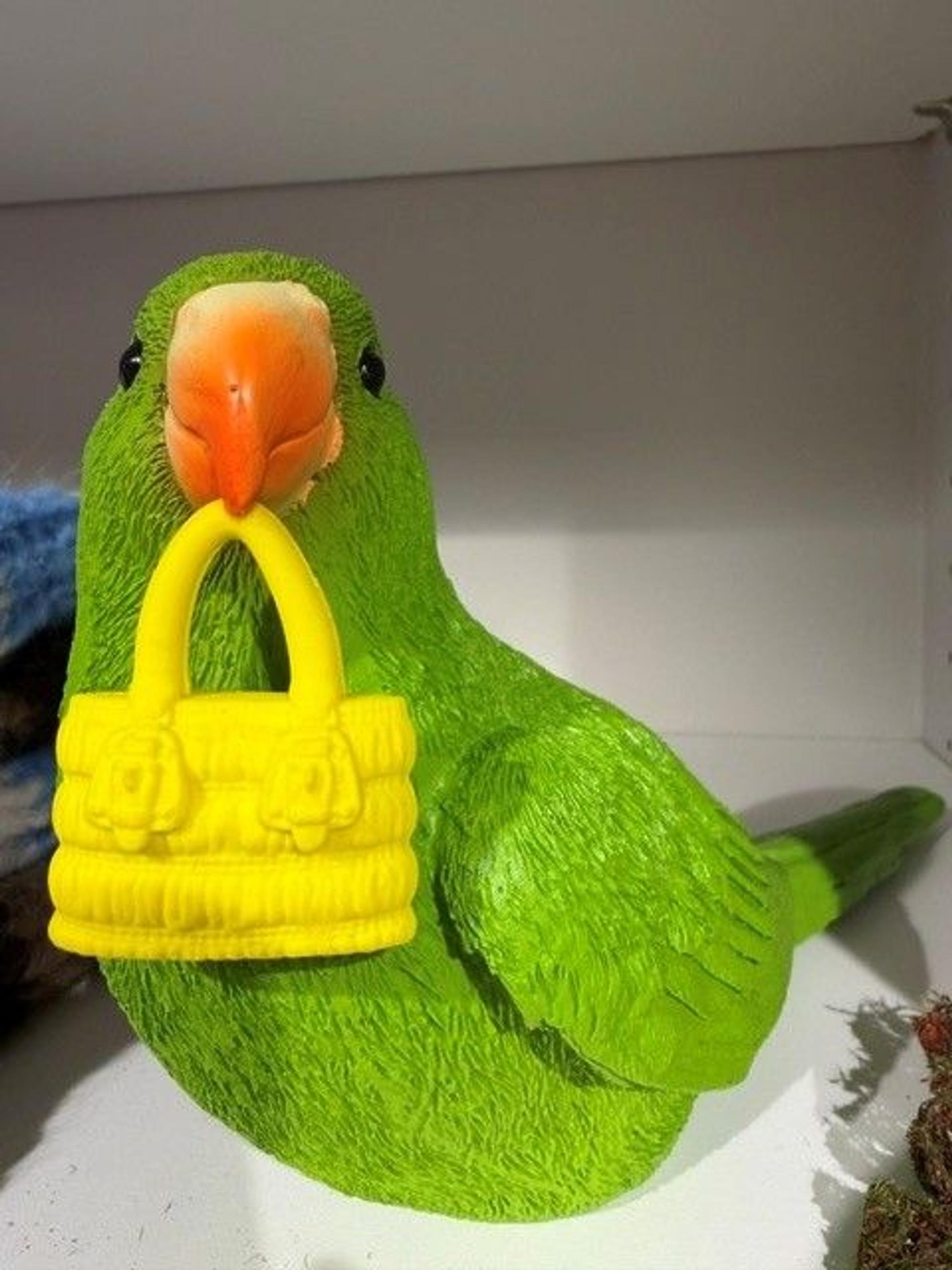 Ein kleiner grüner Vogel hat eine gelbe Handtasche im Schnabel.