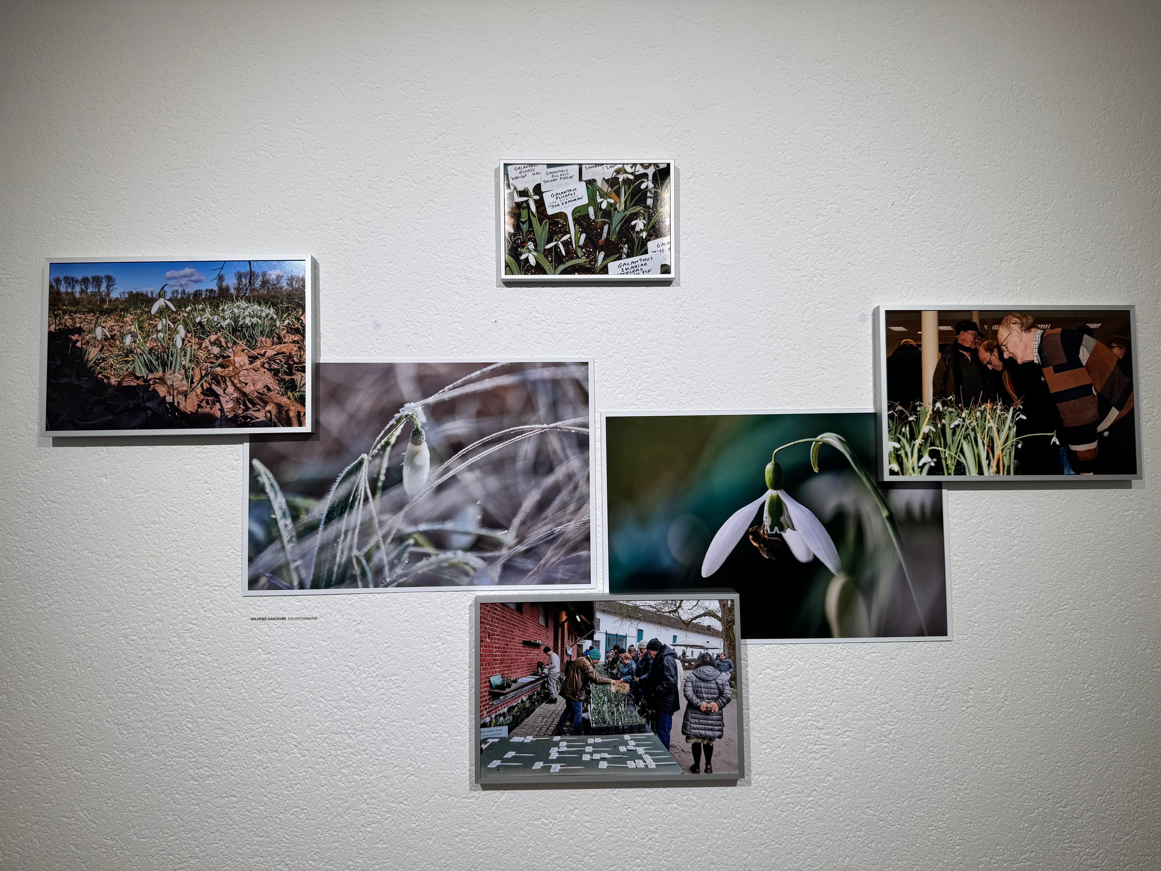 Fotos an einer Wand