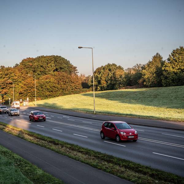 Hinter der Böschung am Willy-Brandt-Ring liegt die Deponie Petersberg Bild: Ralf Krieger