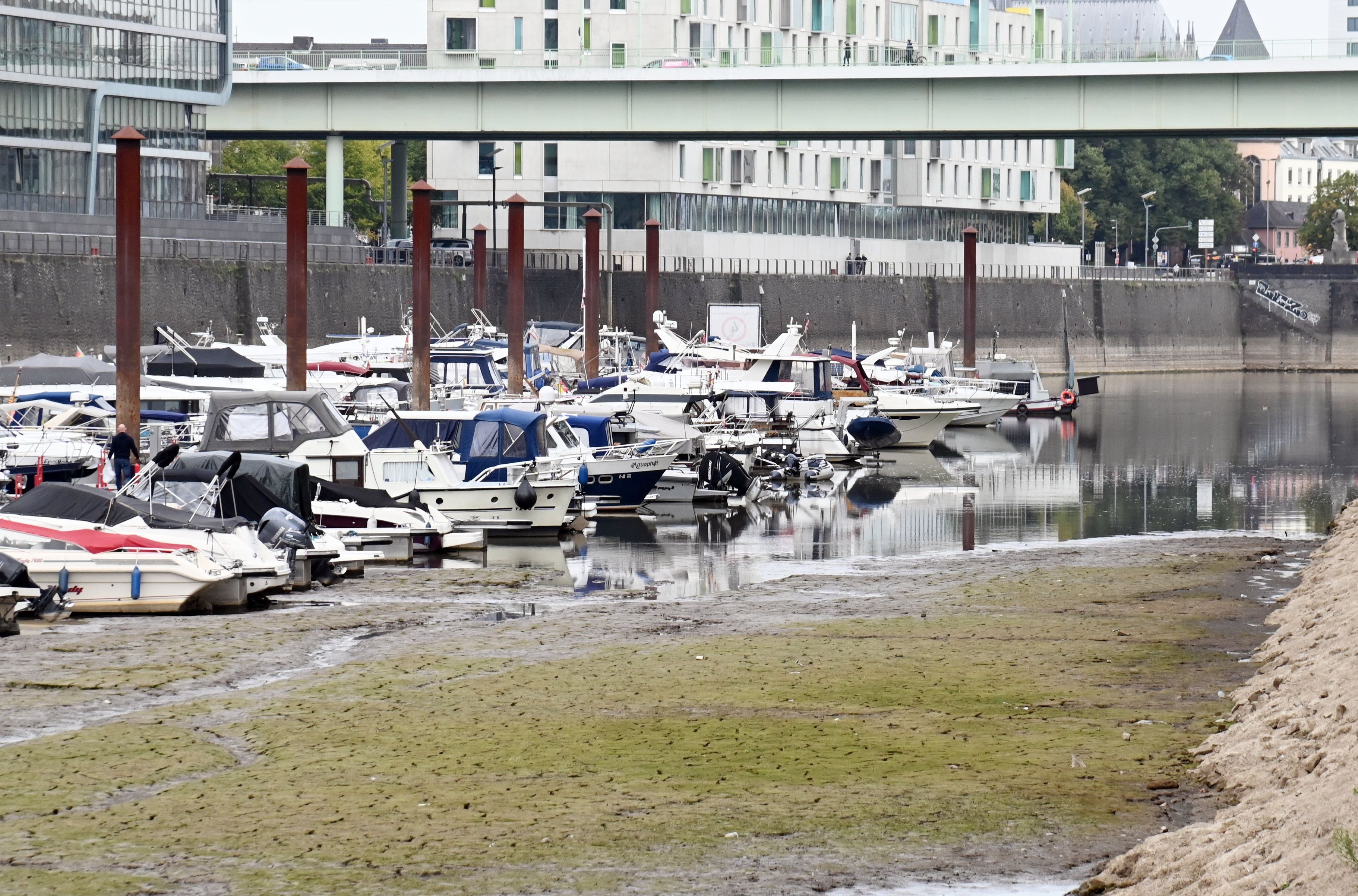 Bei Niedrigwasser liegen Sportboote im Kölner Rheinauhafen auf dem Trockenen.