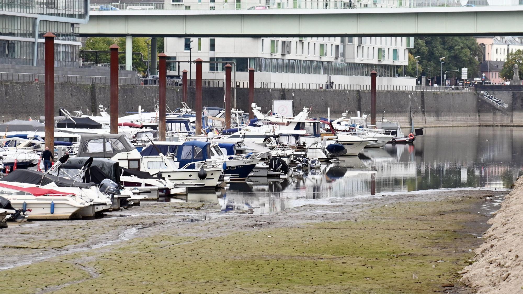 Bei Niedrigwasser liegen Sportboote im Kölner Rheinauhafen auf dem Trockenen.