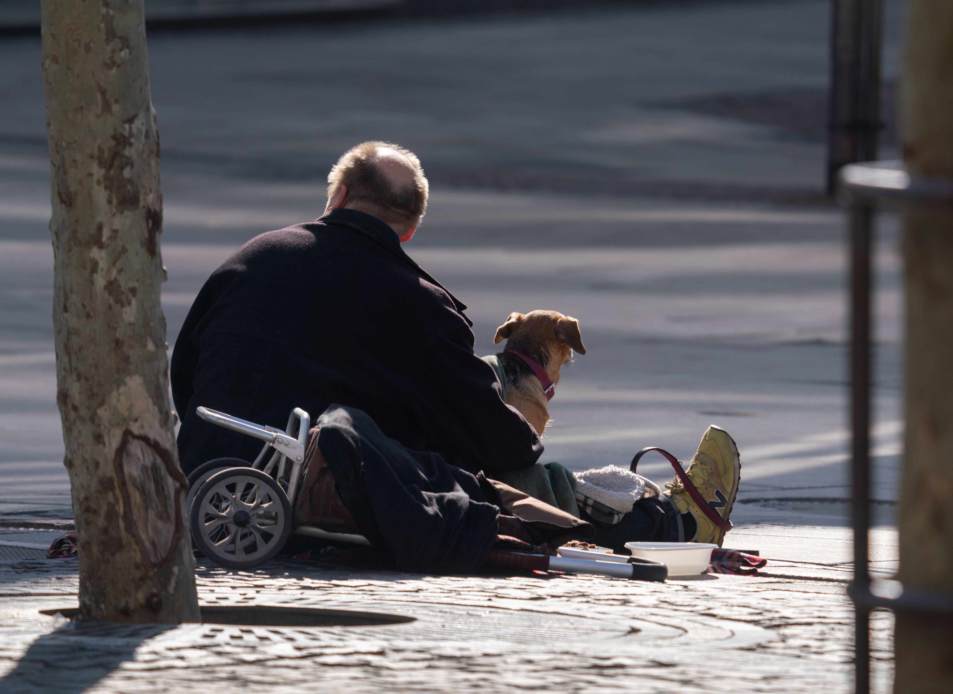 Auch in Köln gibt es immer mehr verelendete Menschen, die betteln (Symbolbild).