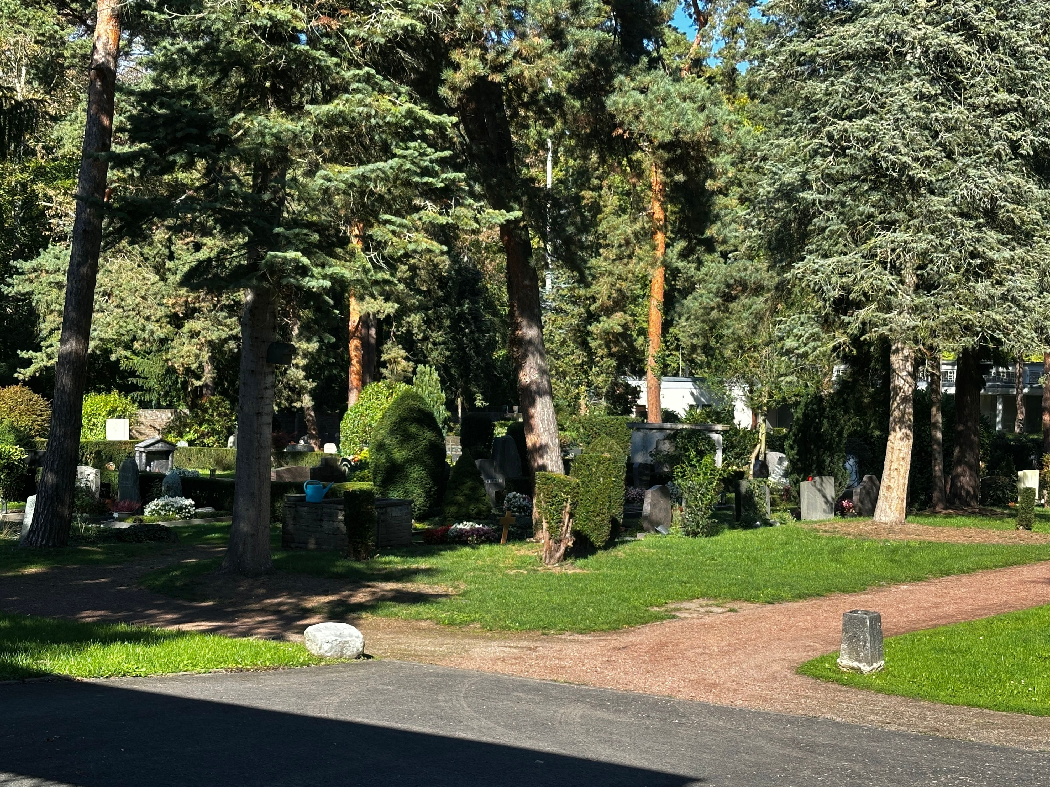 Auf dem Friedhof Rodenkirchen an der Sürther Straße sind keine Baumbestattungen möglich.
