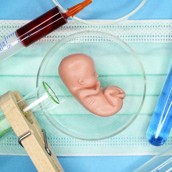 Fötus-Figur in einer Petrischale, Symbolfoto Pränataldiagnostik *** Fetal figure in a Petri dish Symbol photo Prenatal diagnostics