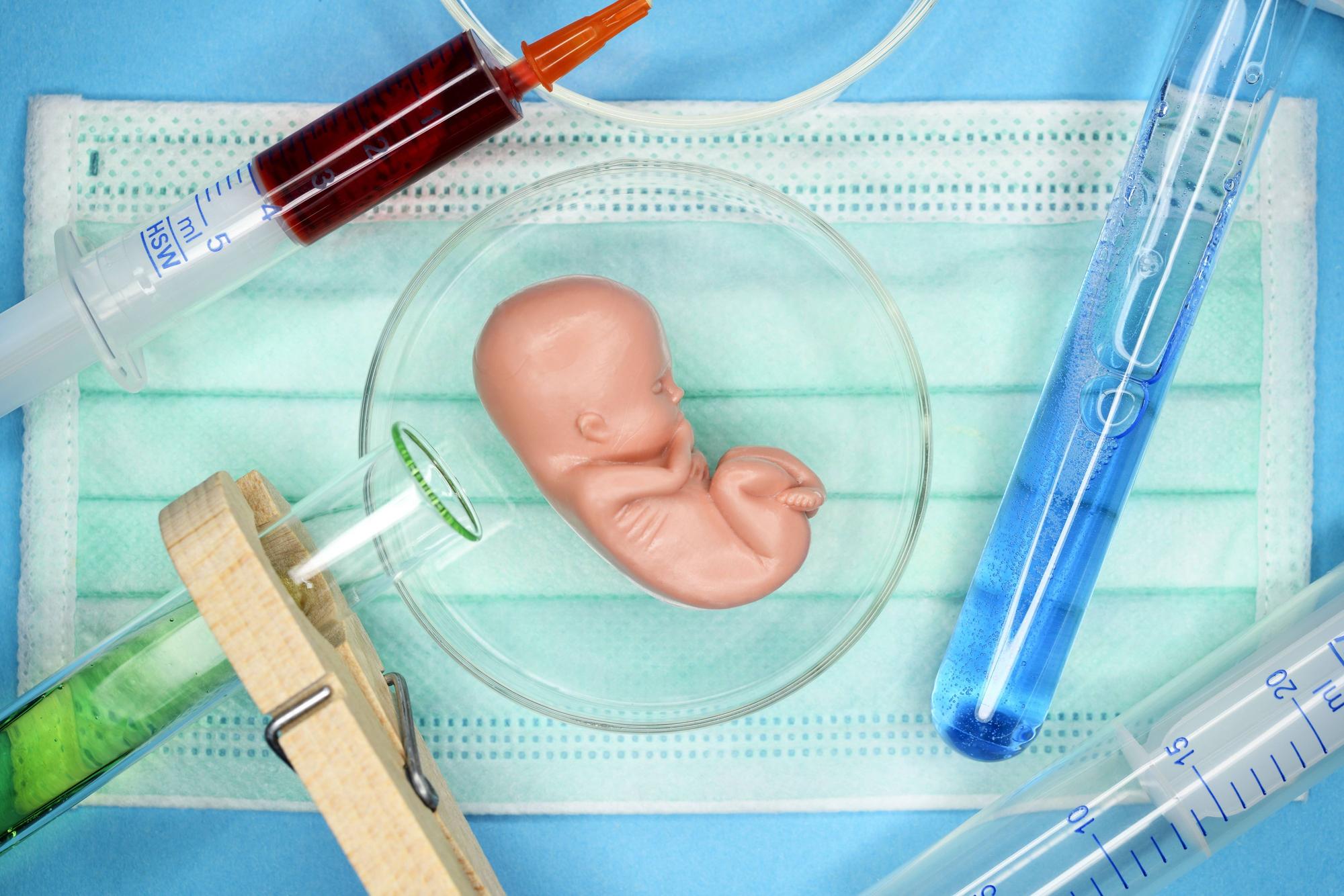 Fötus-Figur in einer Petrischale, Symbolfoto Pränataldiagnostik *** Fetal figure in a Petri dish Symbol photo Prenatal diagnostics