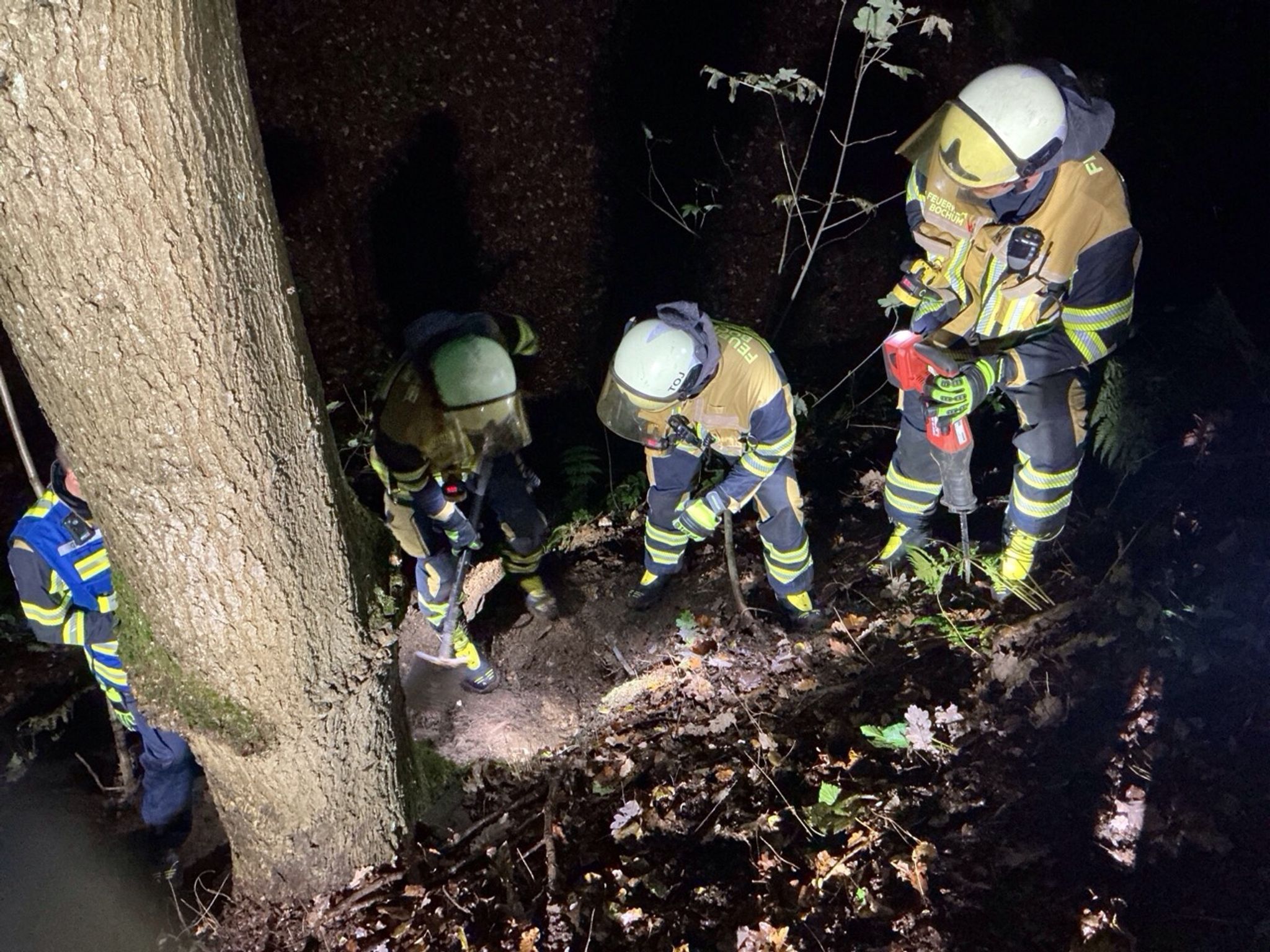 Feuerwehr Befreit Hund in Bochum