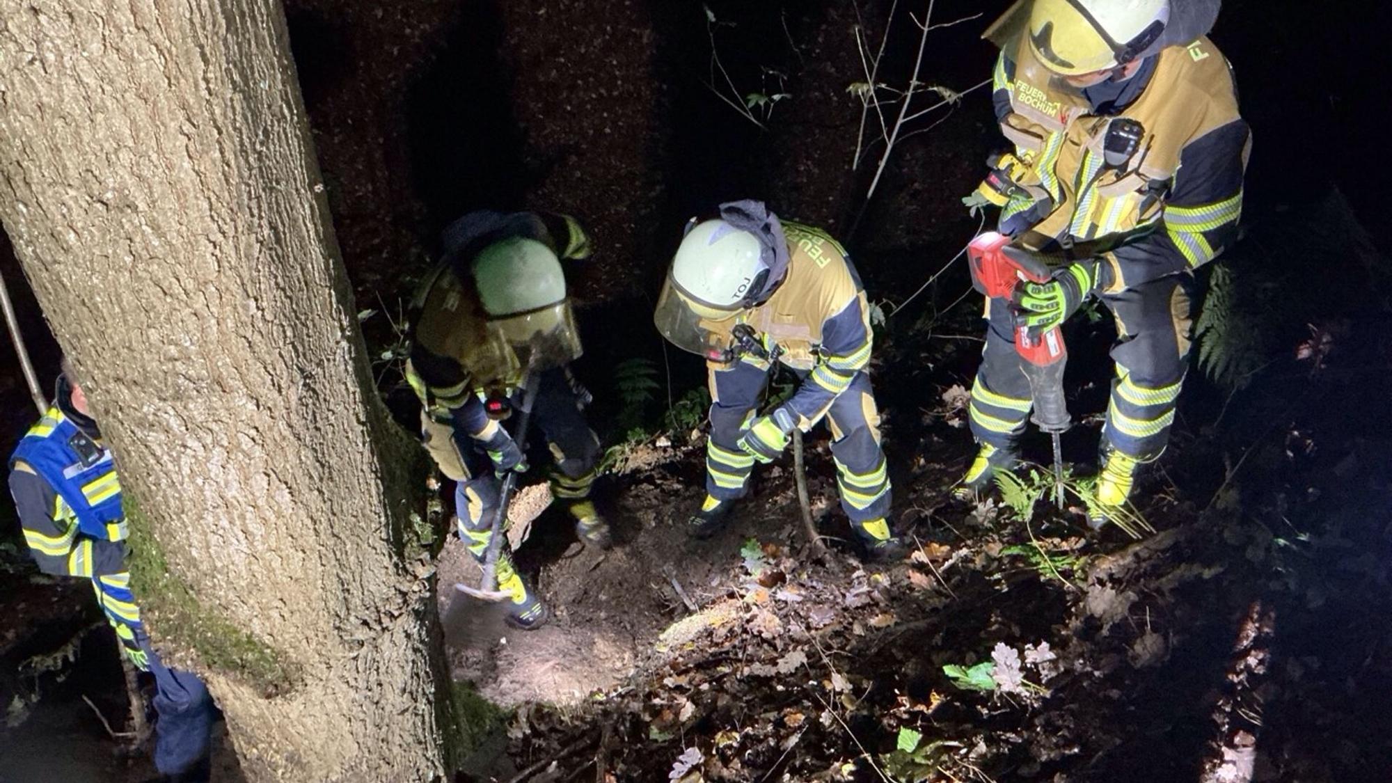 Feuerwehr Befreit Hund in Bochum