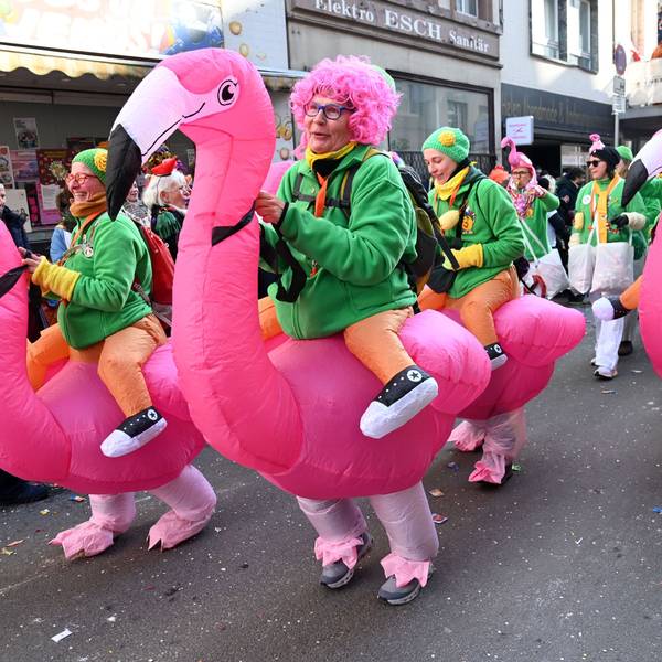 Die Schull- un Veedelszöch sind ein traditioneller Karnevalsumzug im Kölner Karneval.