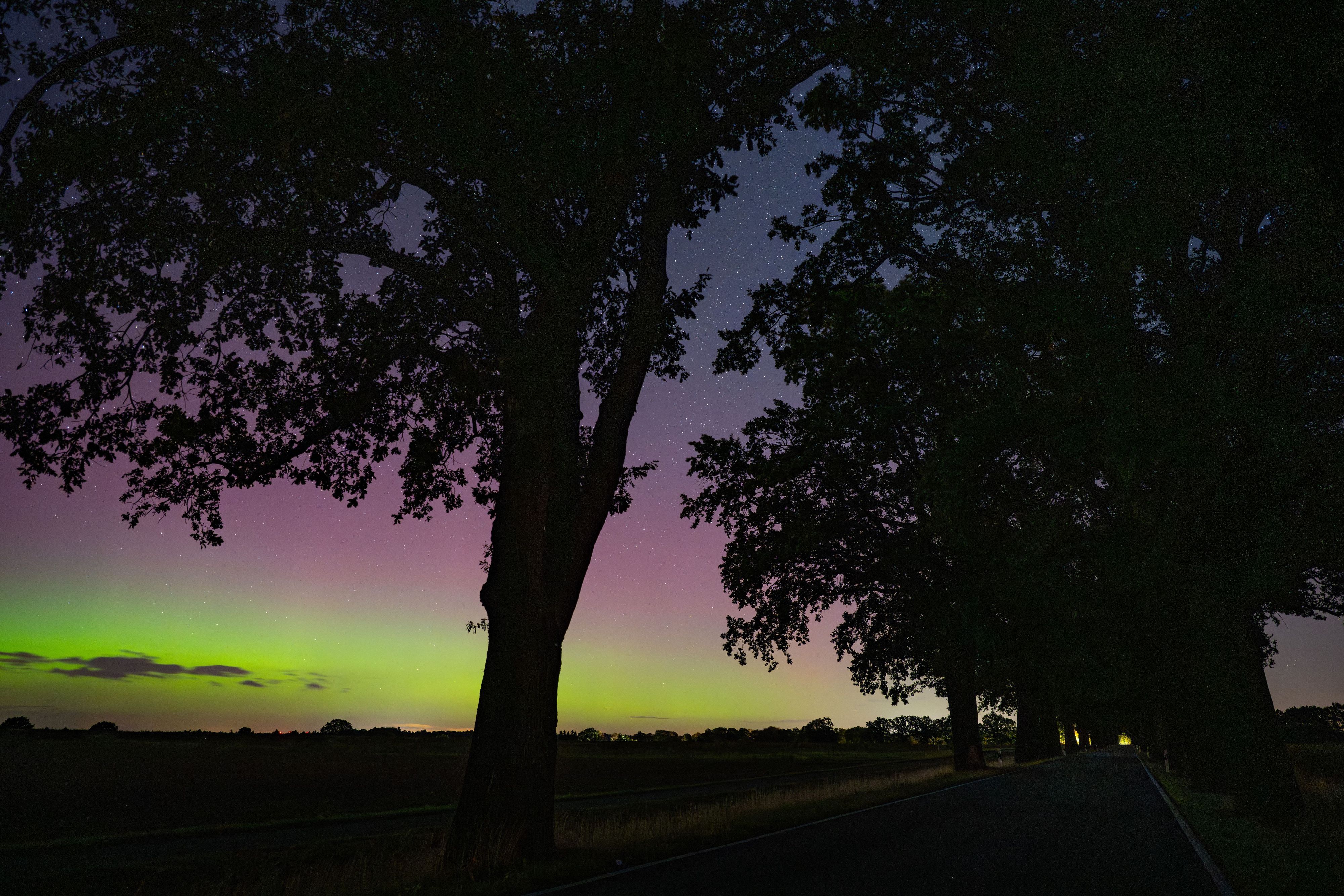 Polarlichter leuchten am Nachthimmel über der Landschaft im östlichen Brandenburg. Auch über Nordrhein-Westfalen zeigte sich das farbenprächtige Himmelsschauspiel.