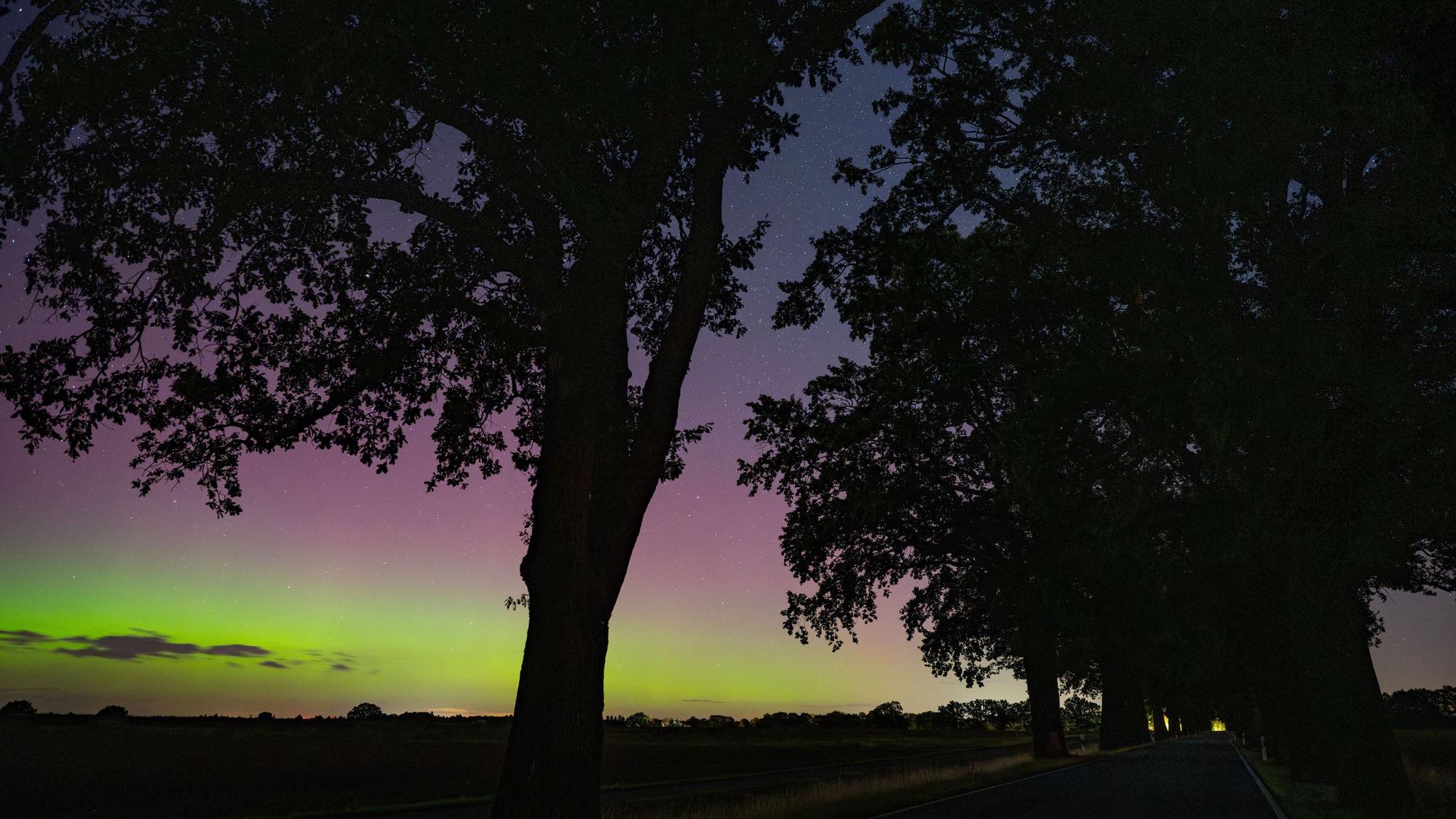 Polarlichter leuchten am Nachthimmel über der Landschaft im östlichen Brandenburg. Auch über Nordrhein-Westfalen zeigte sich das farbenprächtige Himmelsschauspiel.