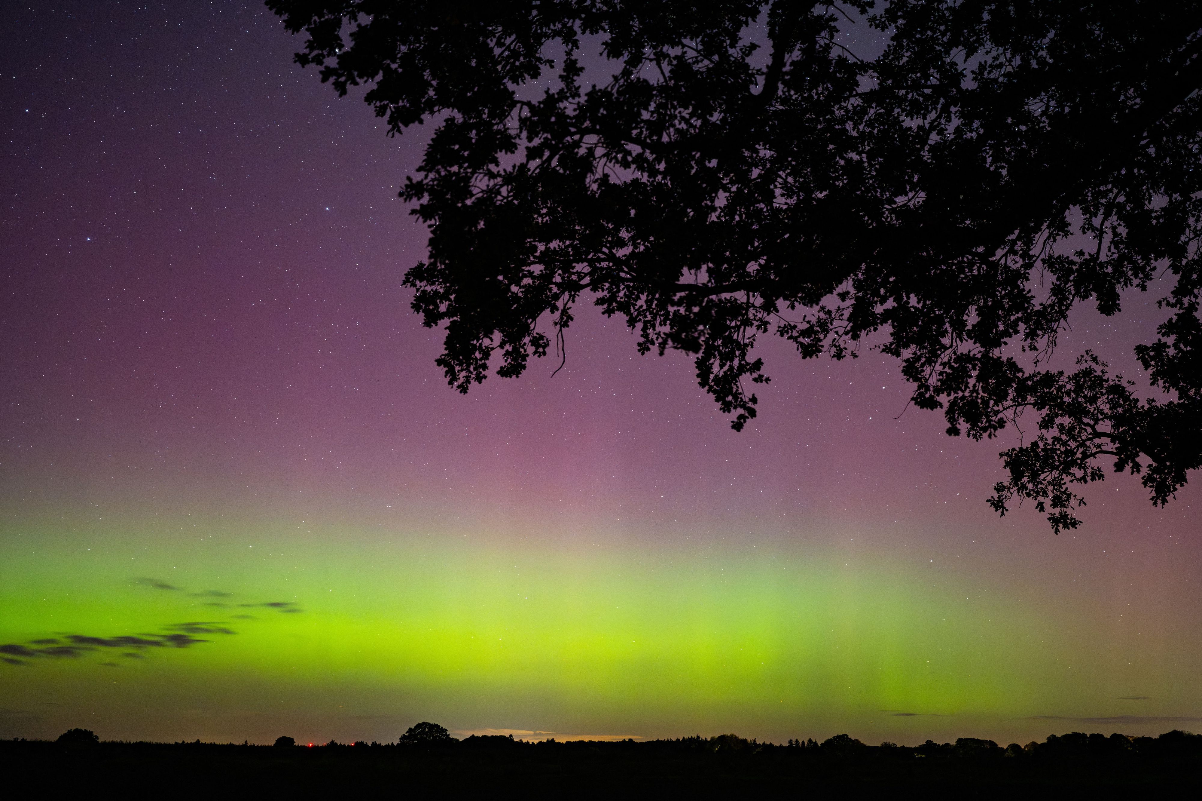 Polarlichter leuchten über NRW.
