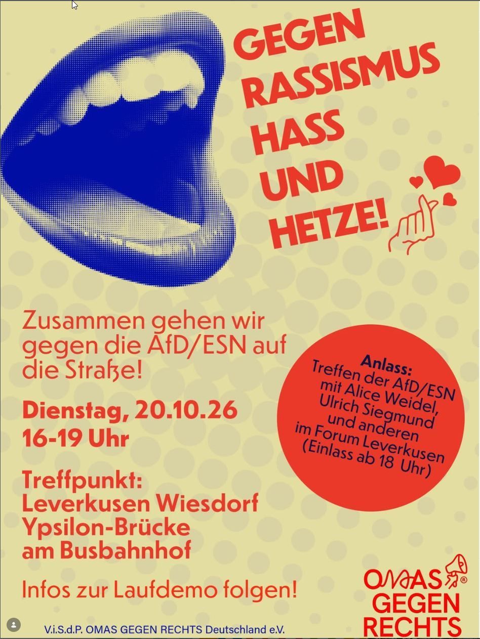 Demo-Plakat Omas gegen Rechts
