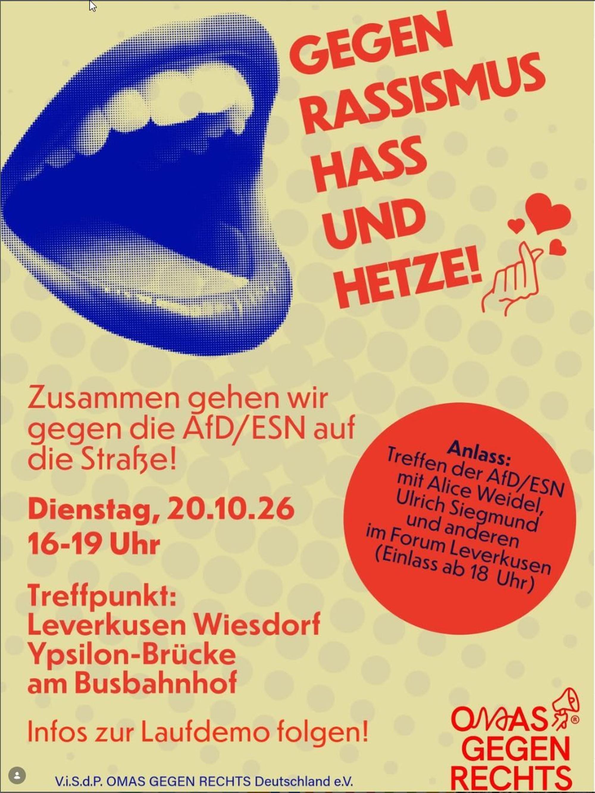Demo-Plakat Omas gegen Rechts
