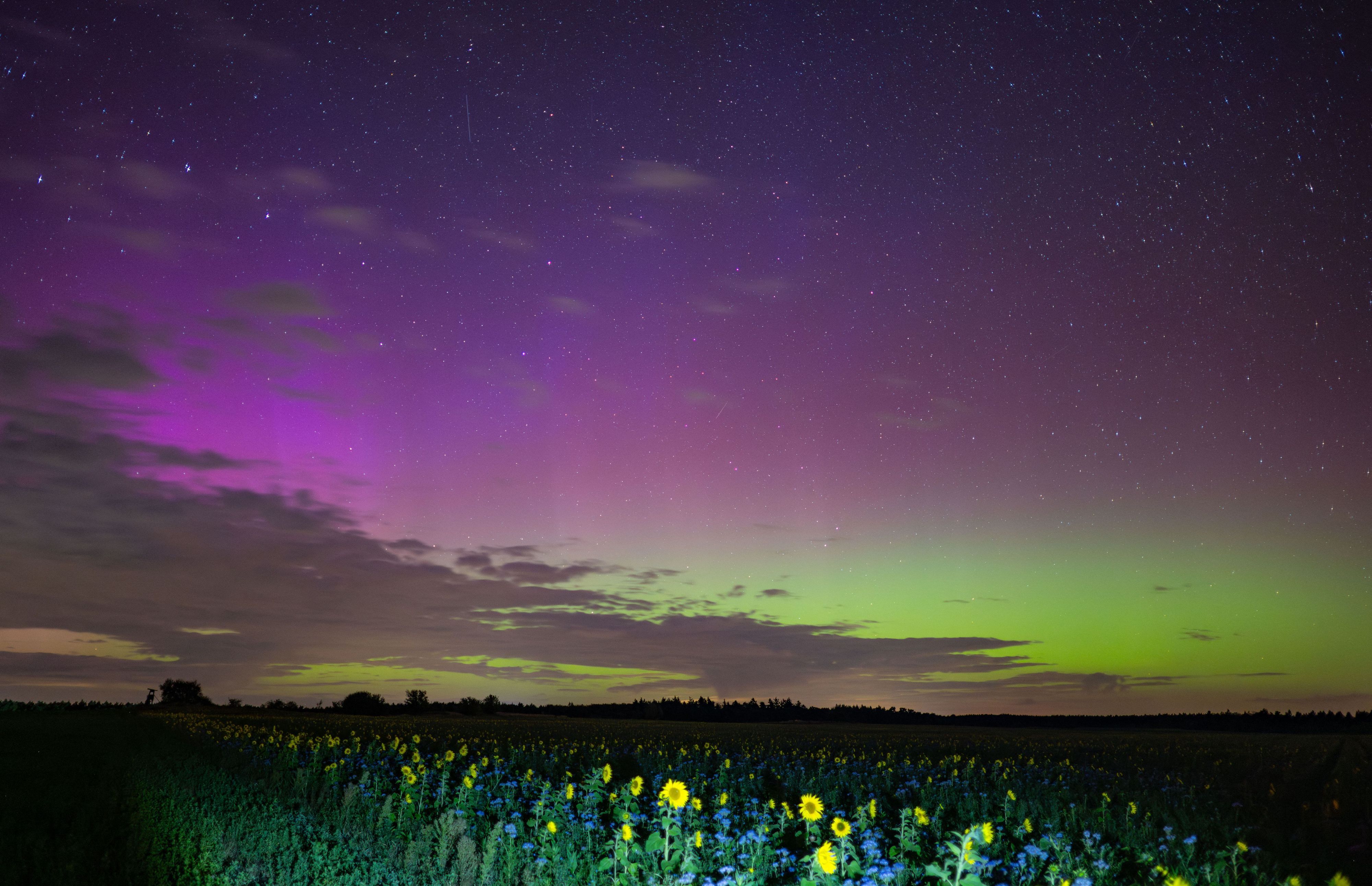 Polarlichter leuchten am Nachthimmel über der Landschaft im östlichen Brandenburg.