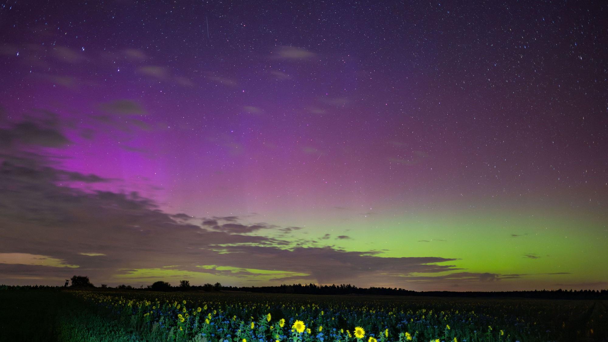 Polarlichter leuchten am Nachthimmel über der Landschaft im östlichen Brandenburg.