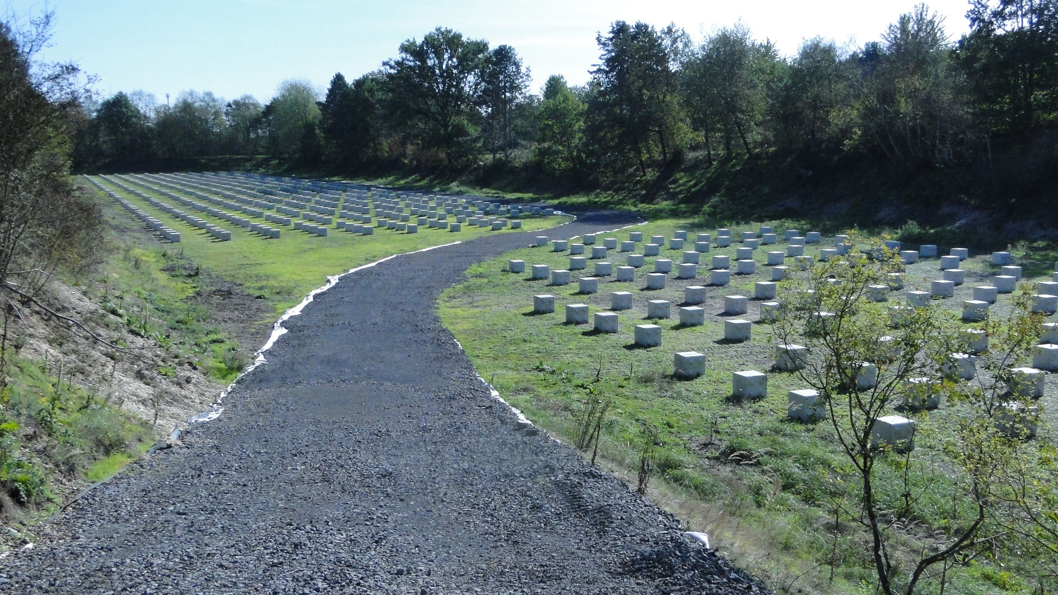 Ein Schotterweg führt durch eine Wiese, auf der zahlreiche Betonwürfel stehen.