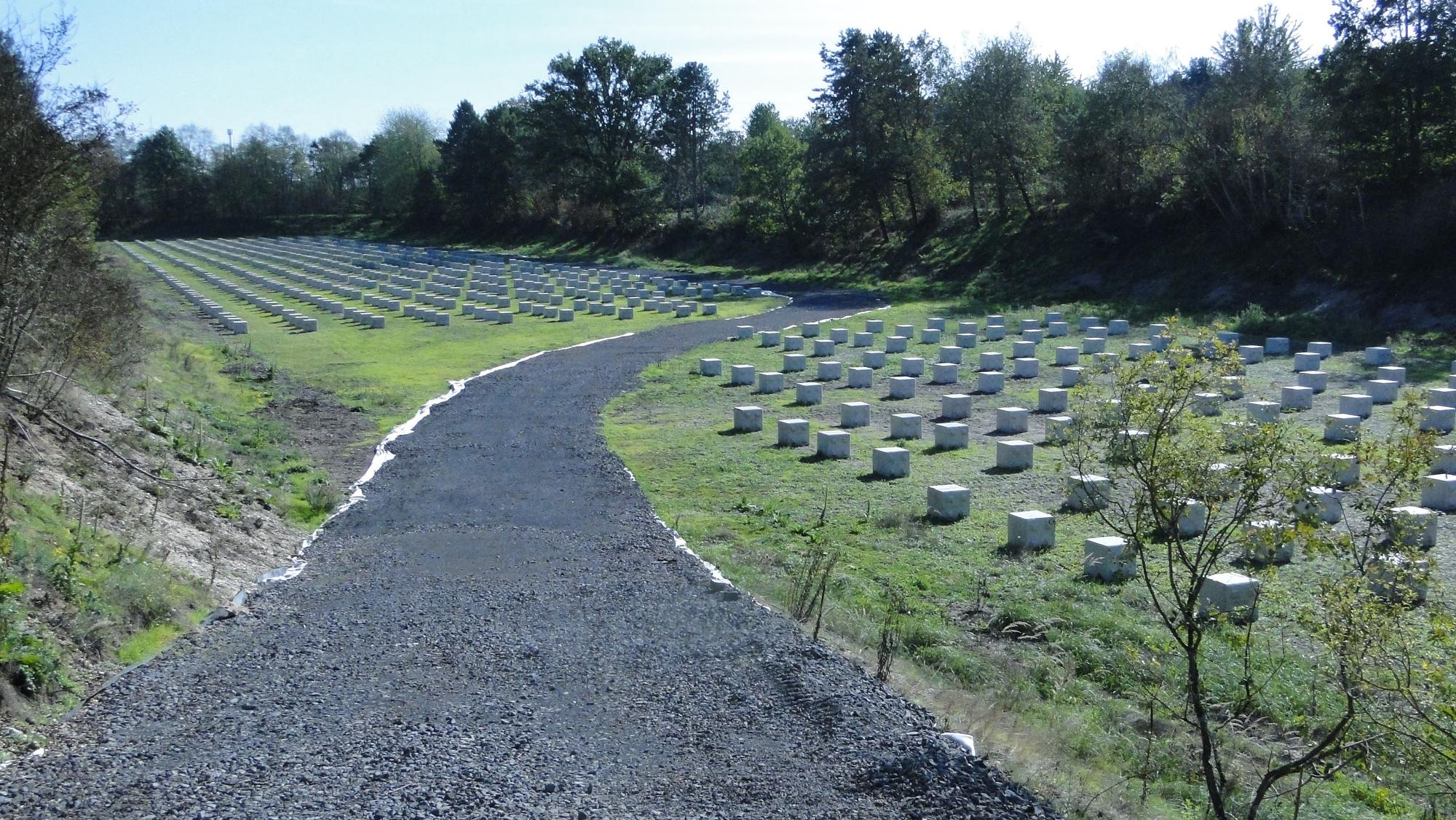 Ein Schotterweg führt durch eine Wiese, auf der zahlreiche Betonwürfel stehen.