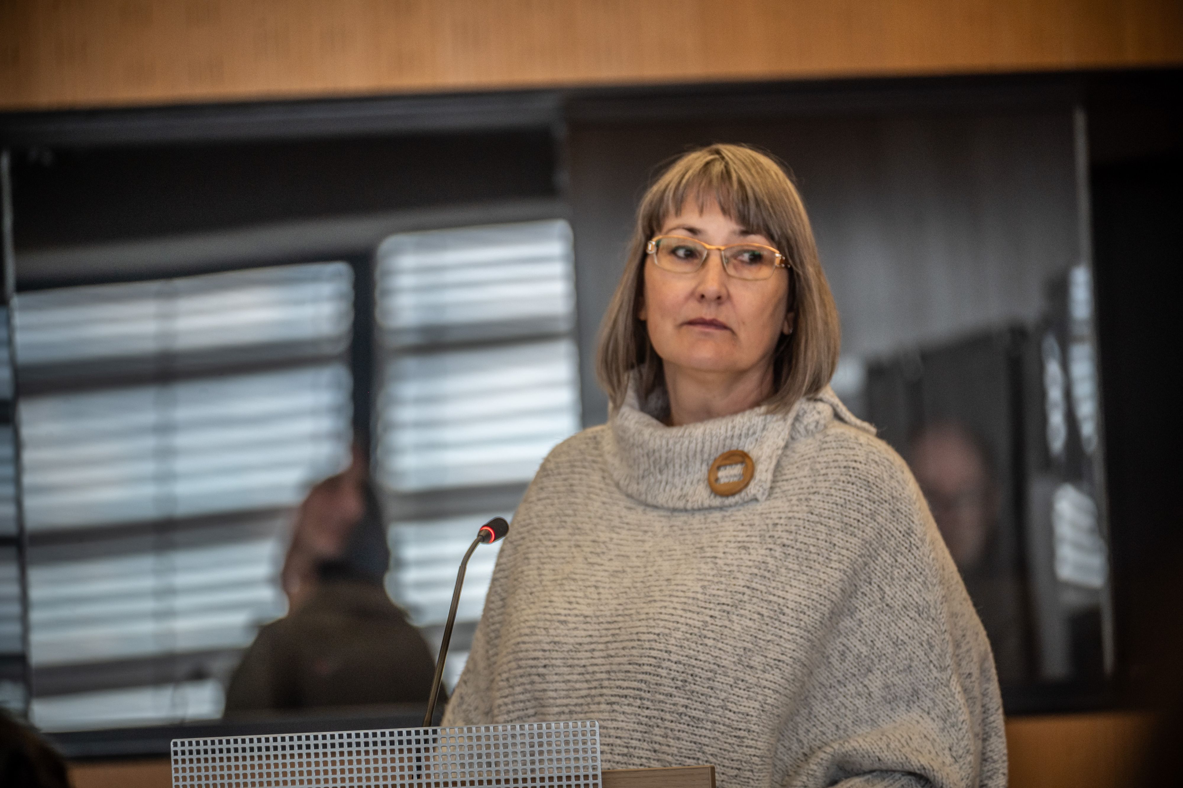 Alice Werner P4F Ratssitzung  Bild: Ralf Krieger