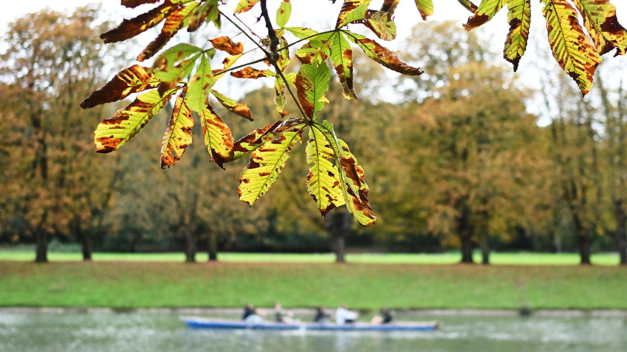 Eindrücke vom Decksteiner Weiher in Köln-Lindenthal. Es soll wieder sonniger in Köln werden.