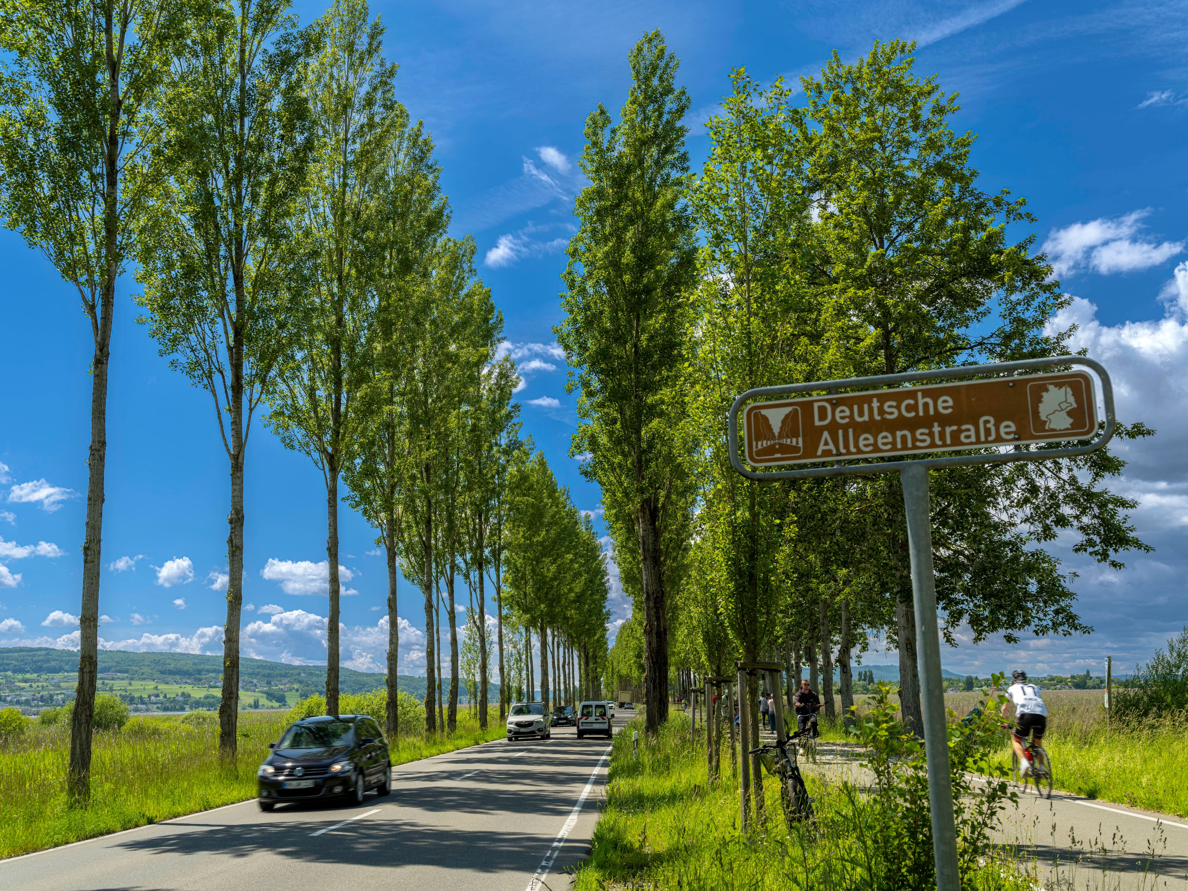 Die Deutsche Alleenstraße.