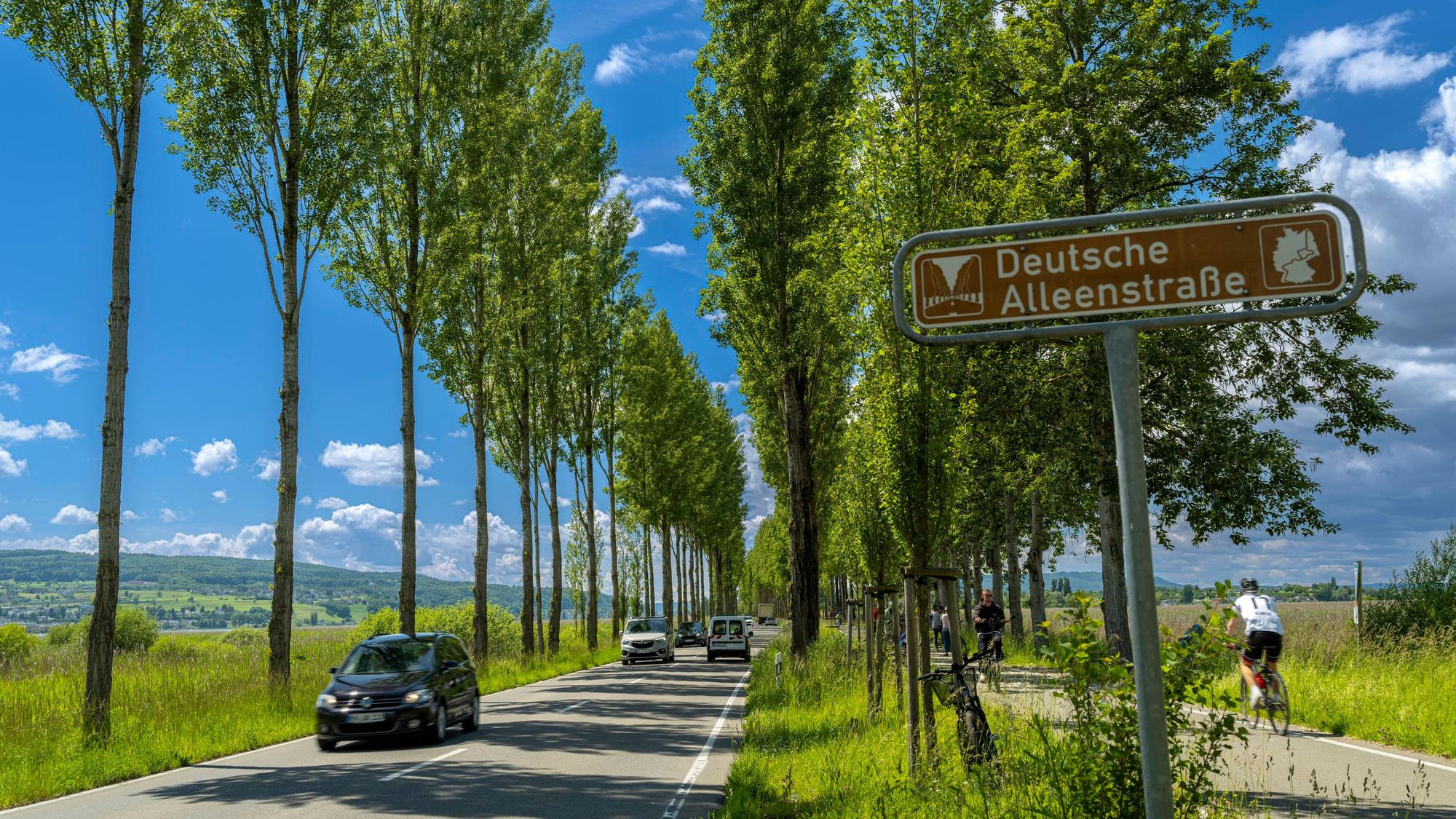 Die Deutsche Alleenstraße.
