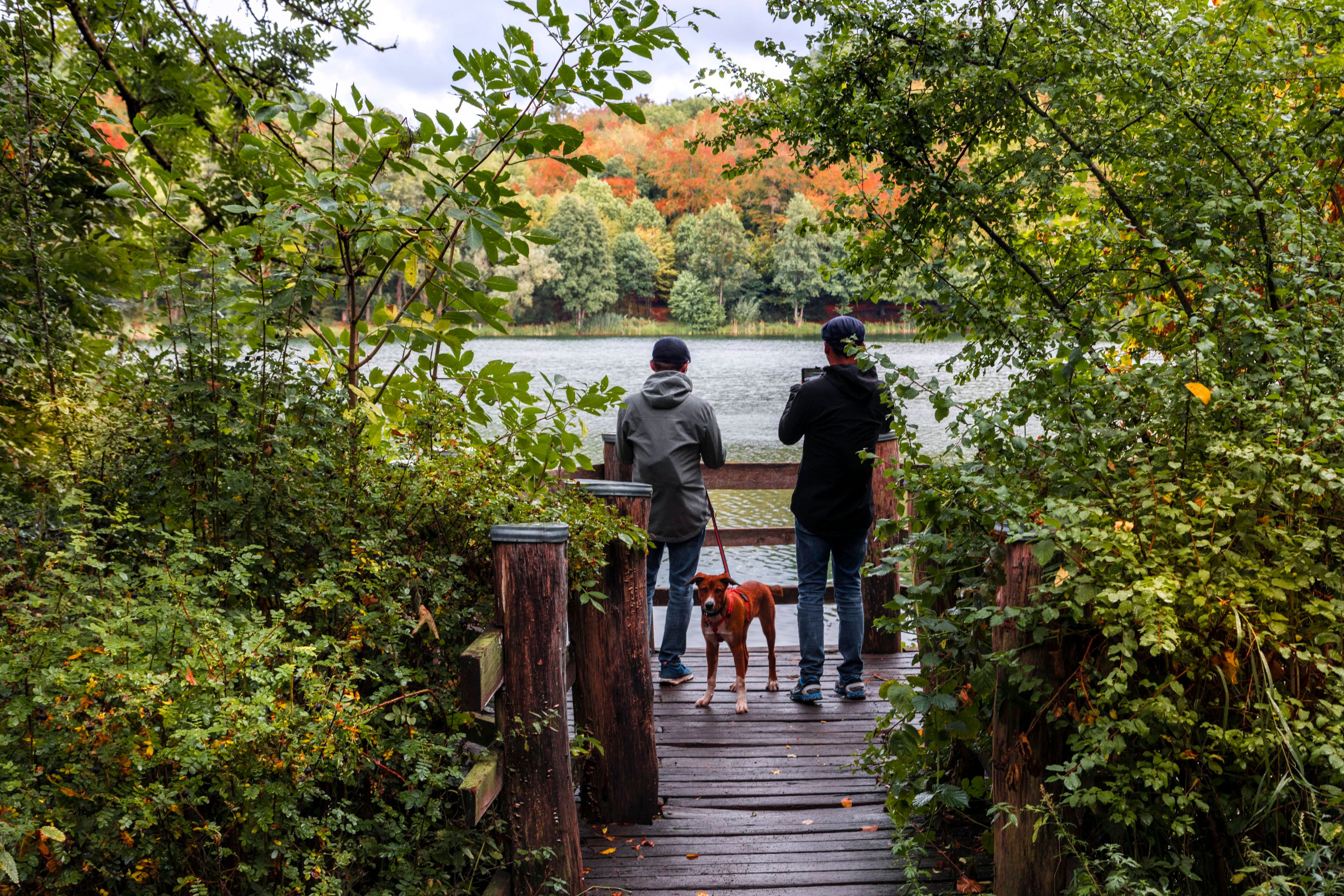 Holzmaar in der Vulkaneifel.