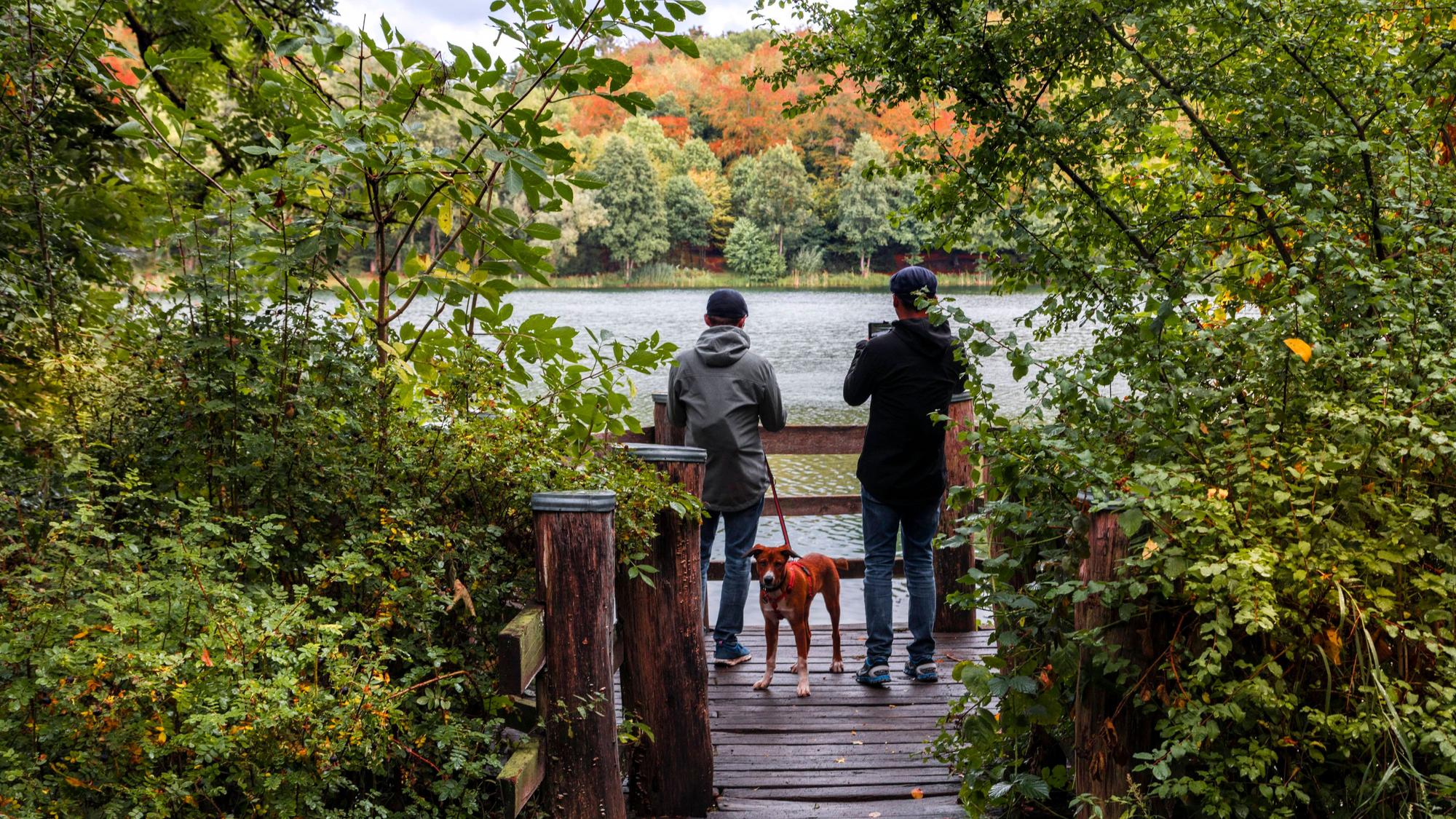 Holzmaar in der Vulkaneifel.