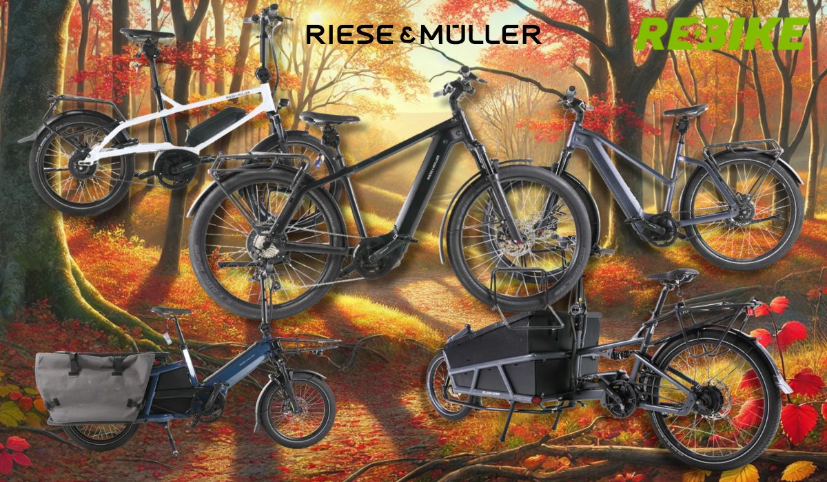 4 verschiedene Riese & Müller E-Bikes vor einem Fahrradweg am Waldran neben einem Fluss.