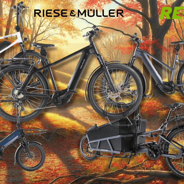 4 verschiedene Riese & Müller E-Bikes vor einem Fahrradweg am Waldran neben einem Fluss.