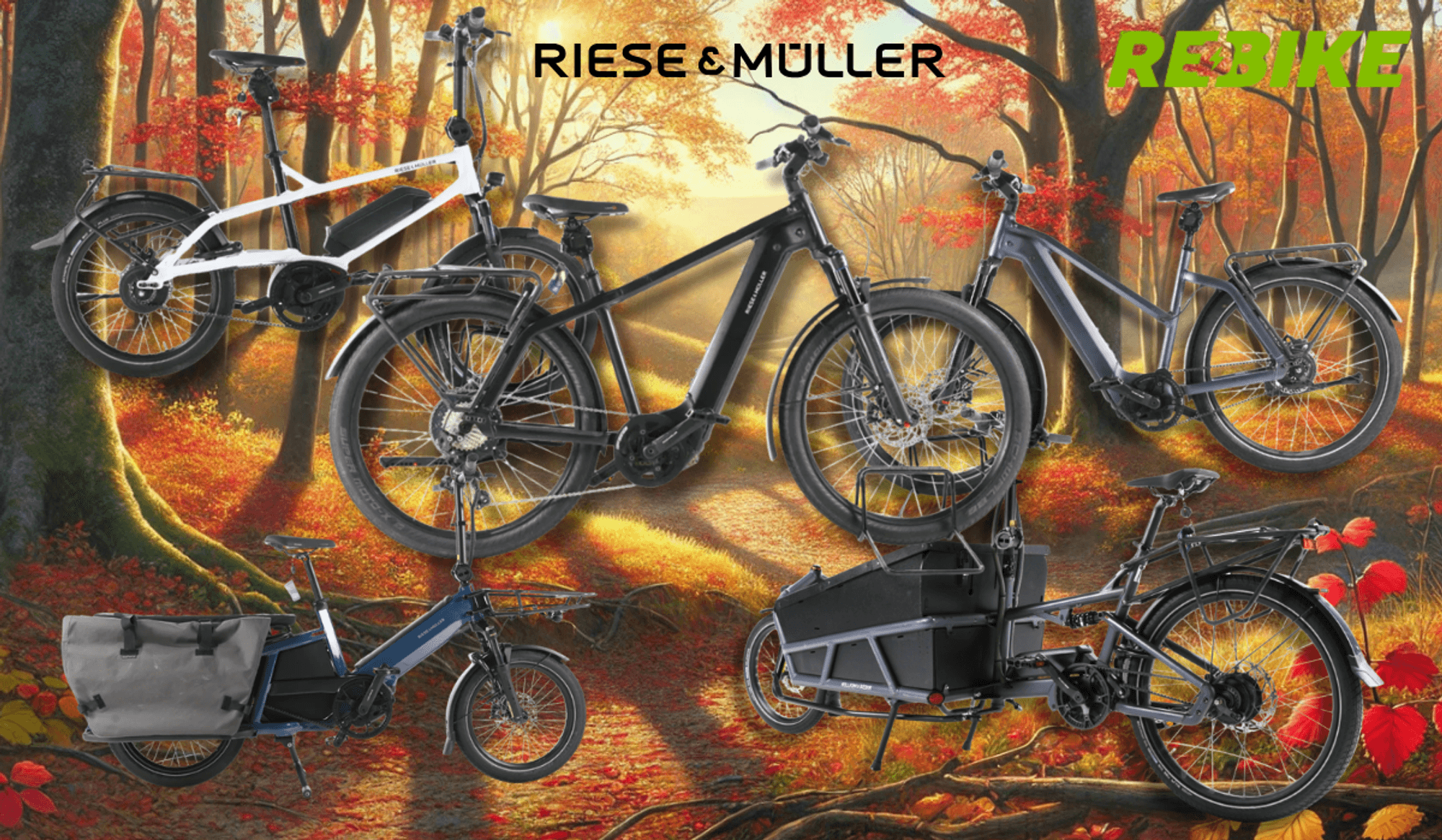 4 verschiedene Riese & Müller E-Bikes vor einem Fahrradweg am Waldran neben einem Fluss.