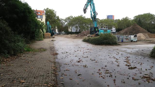 Zwei Bagger stehen auf einem Baugrundstück. Eine Straße führt seitlich daran vorbei.