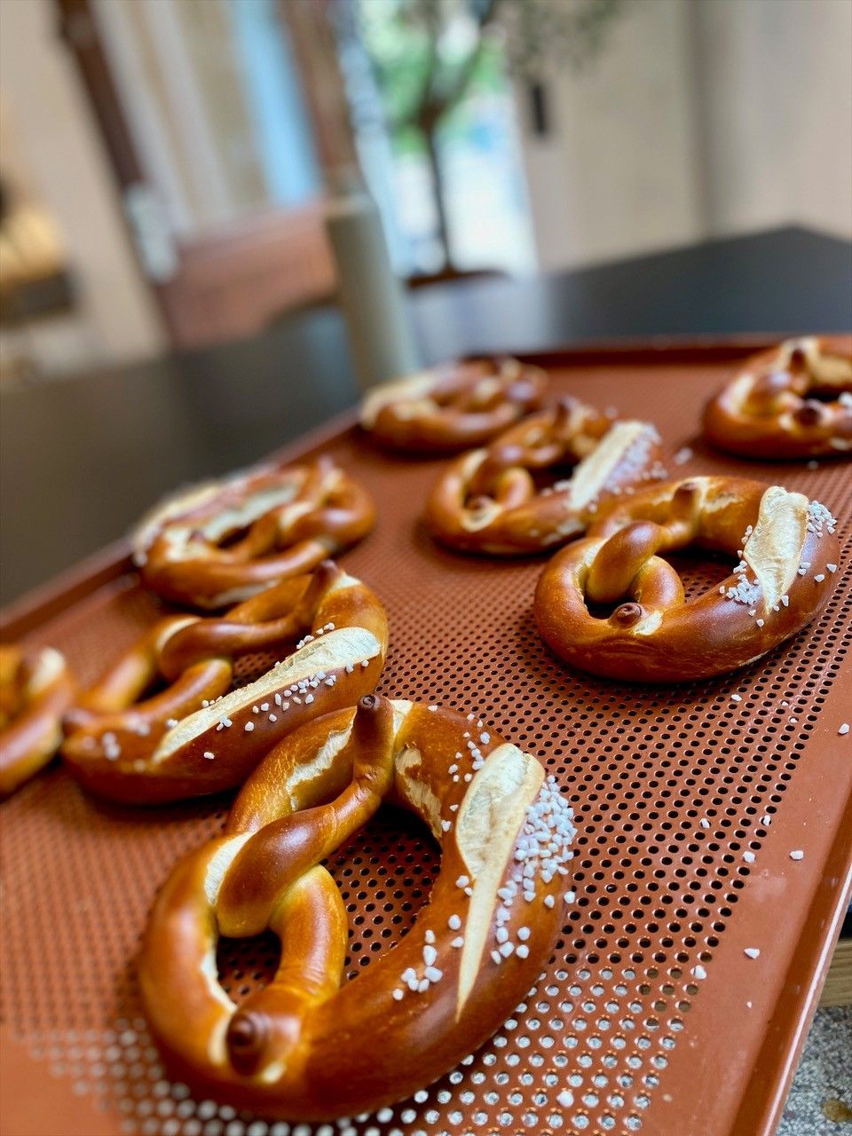 Laugenbrezeln frisch gebacken bei „Die Brezel“ in Köln-Sülz.