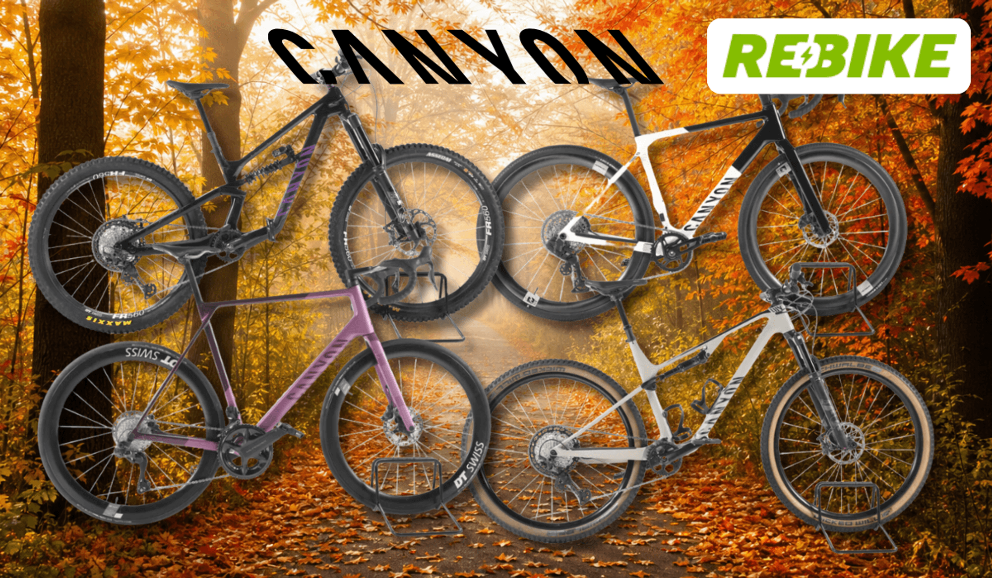 Eine Darstellung von verschiedenen Canyon Fahrrädern vor einem Fahrradweg.