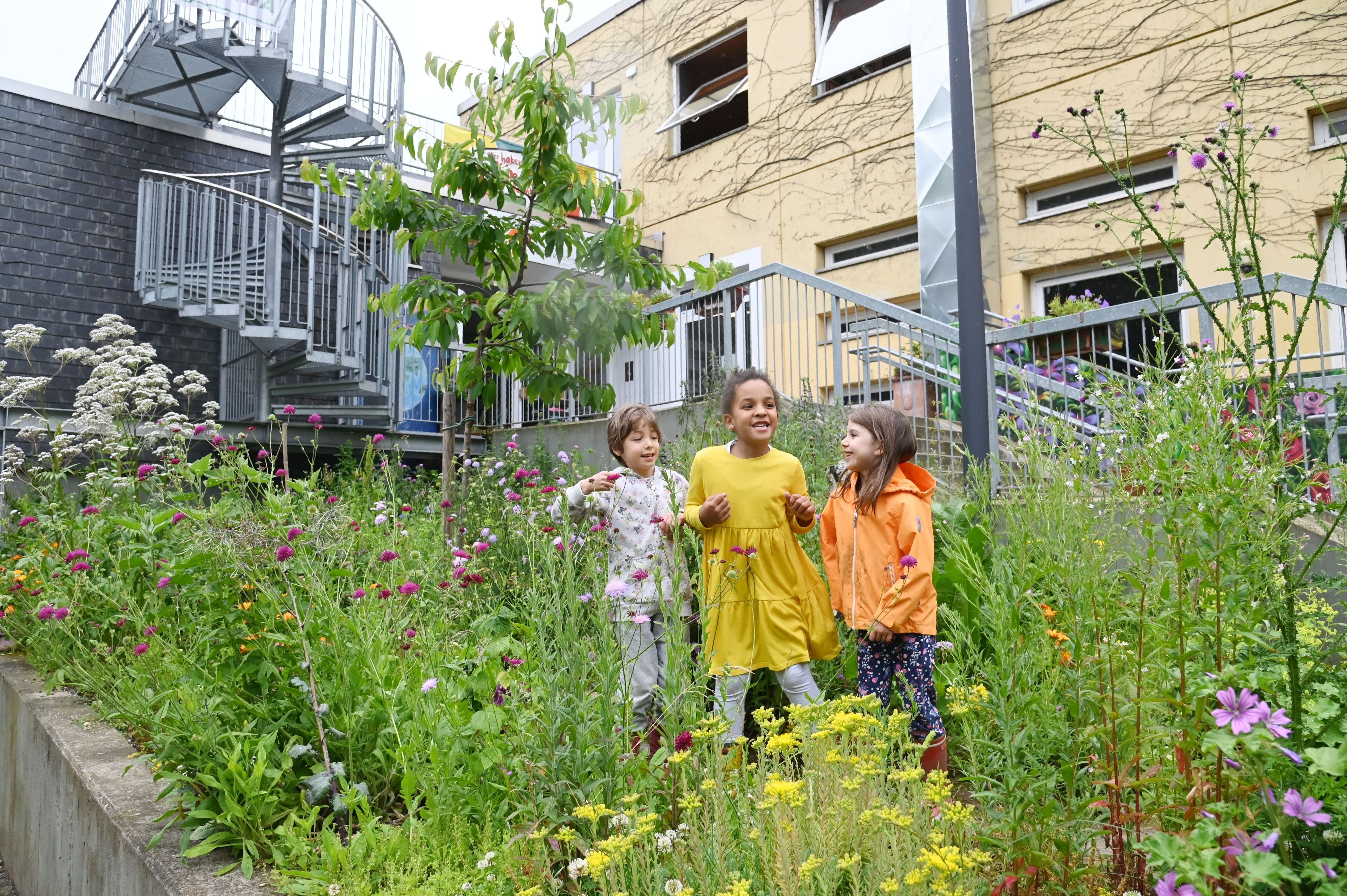 08.06.2022 Köln.
75 Jahre Bürgerzentrum Quäker Nachbarschaftsheim auf der Kreutzerstraße.