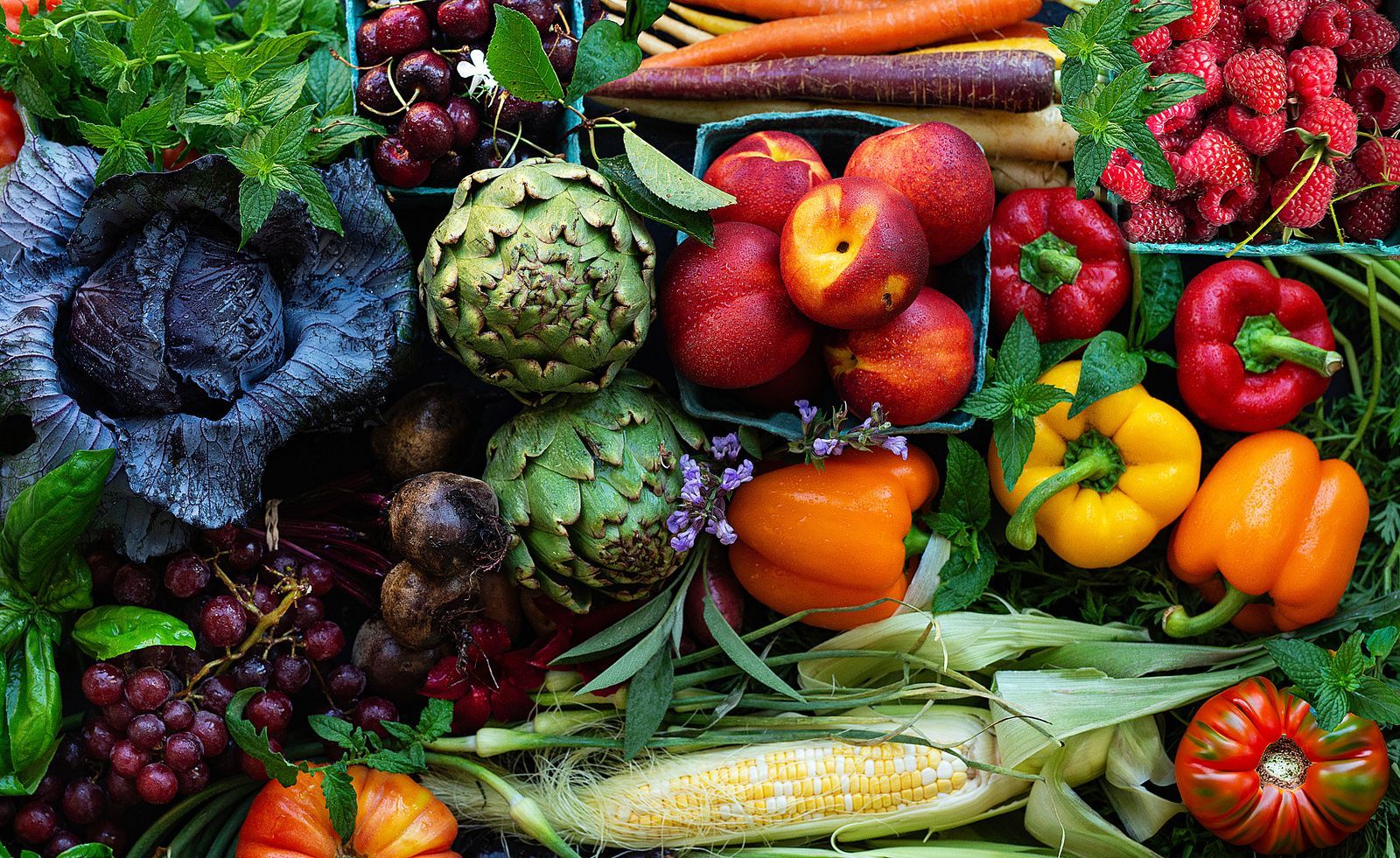 Frisches Obst und Gemüse von oben fotografiert, darunter Rotkohl, Artischocken, Paprika, Maiskolben, Nektarinen, Himbeeren, Kirschen und Trauben