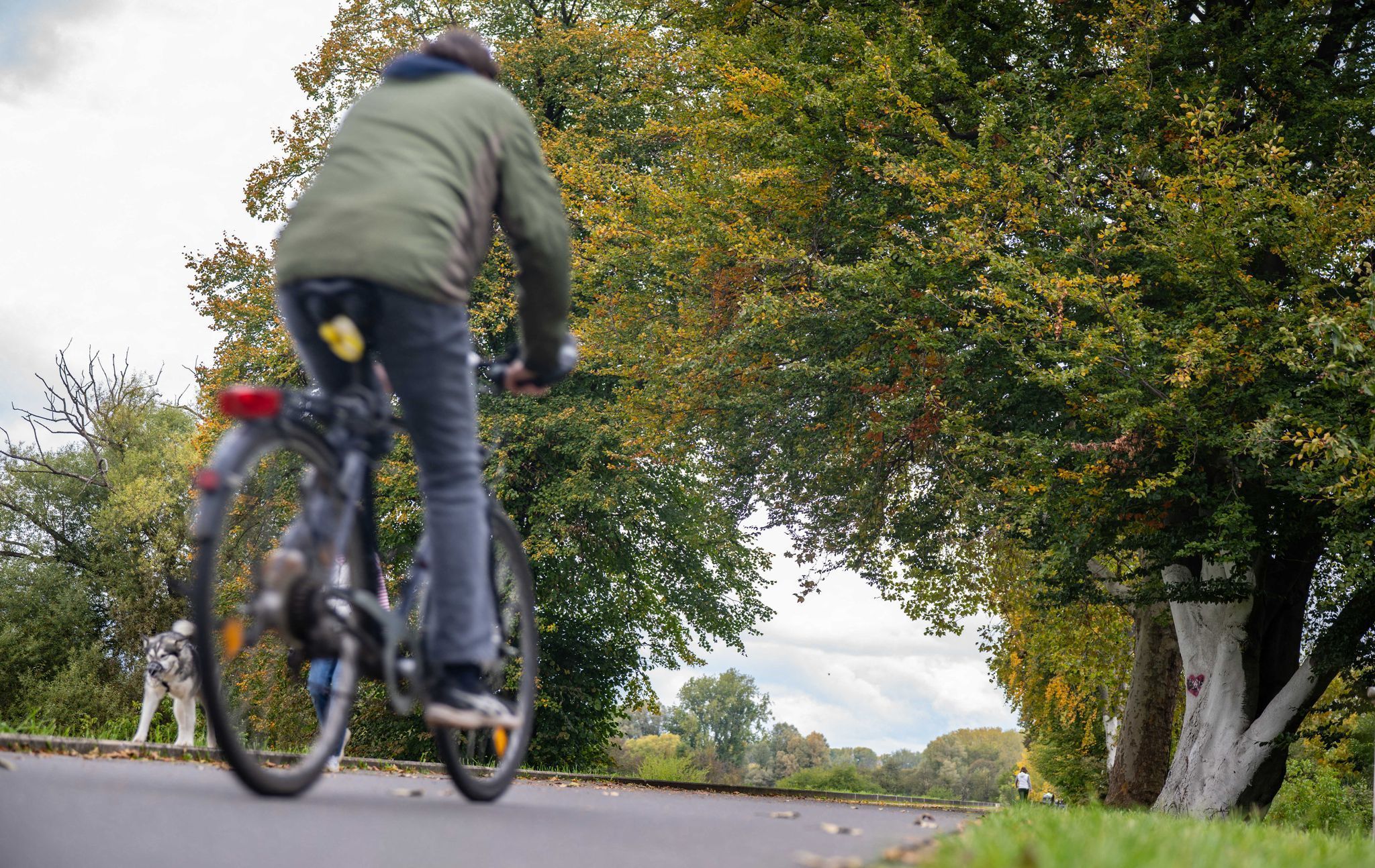 Für die kommenden Tage erwartet der DWD windiges und regnerisches Wetter in NRW. (Symbolfoto)